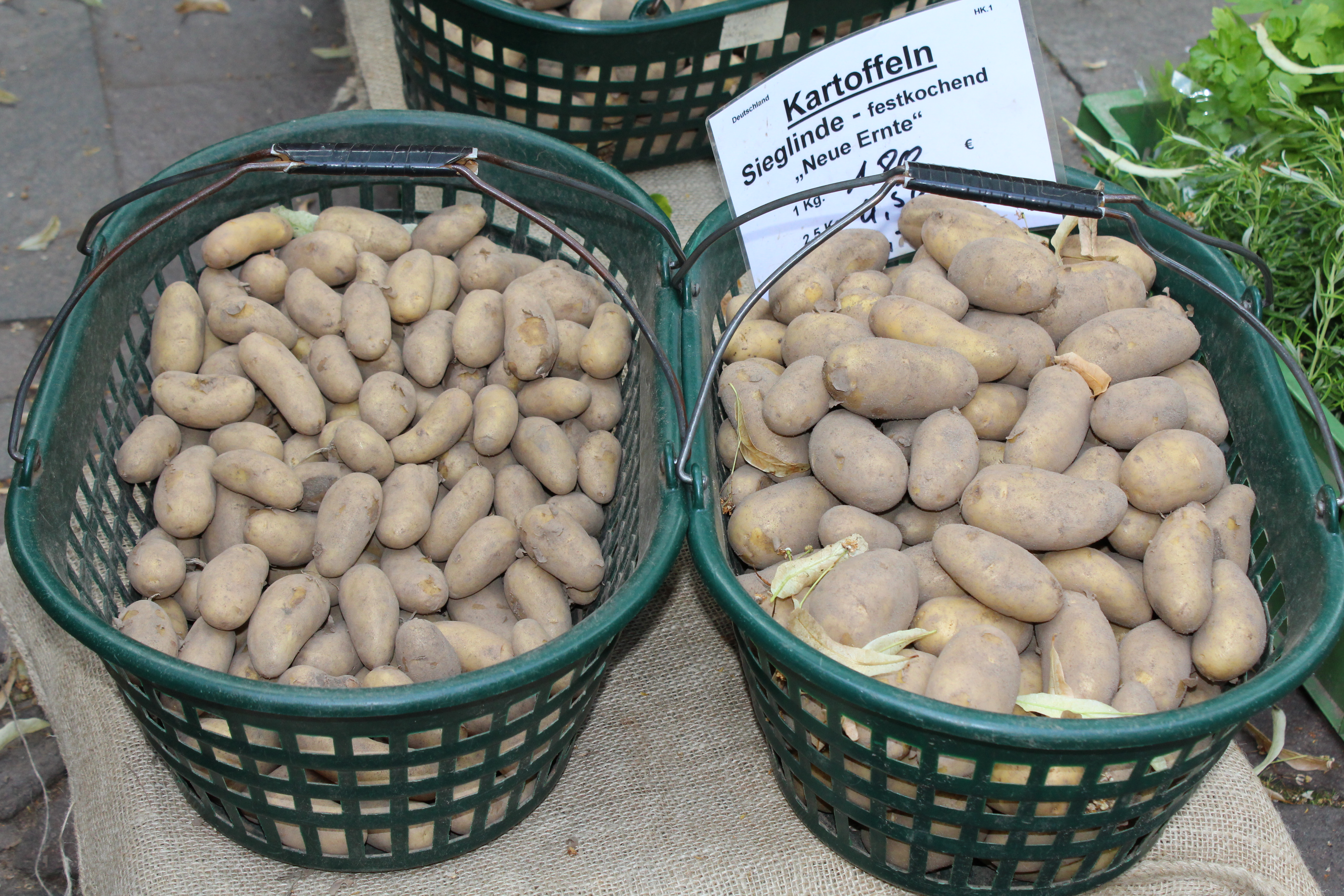 Erdbeer & Kartoffelhof Wendenborstel