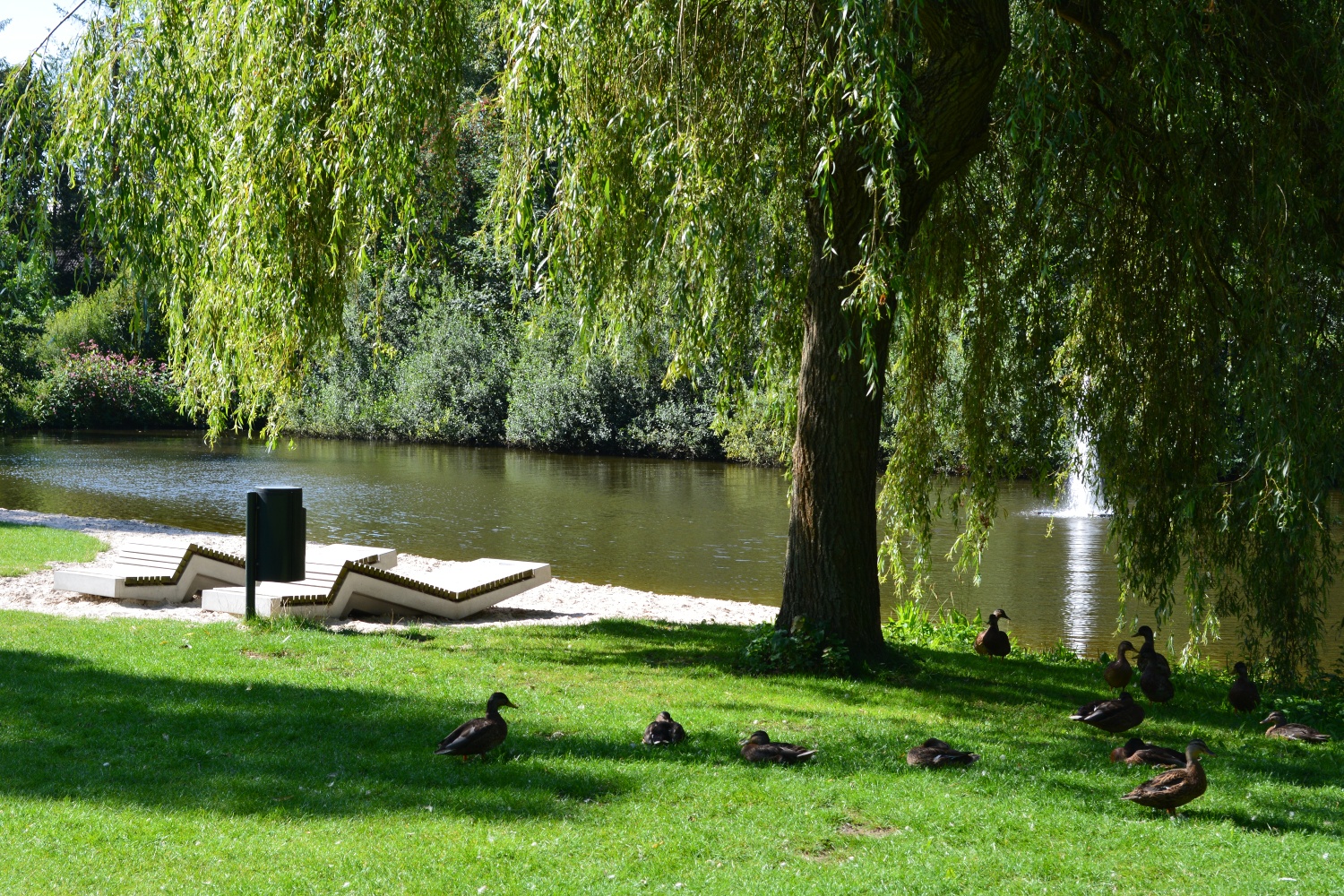 Liegewiese im Bürgerpark