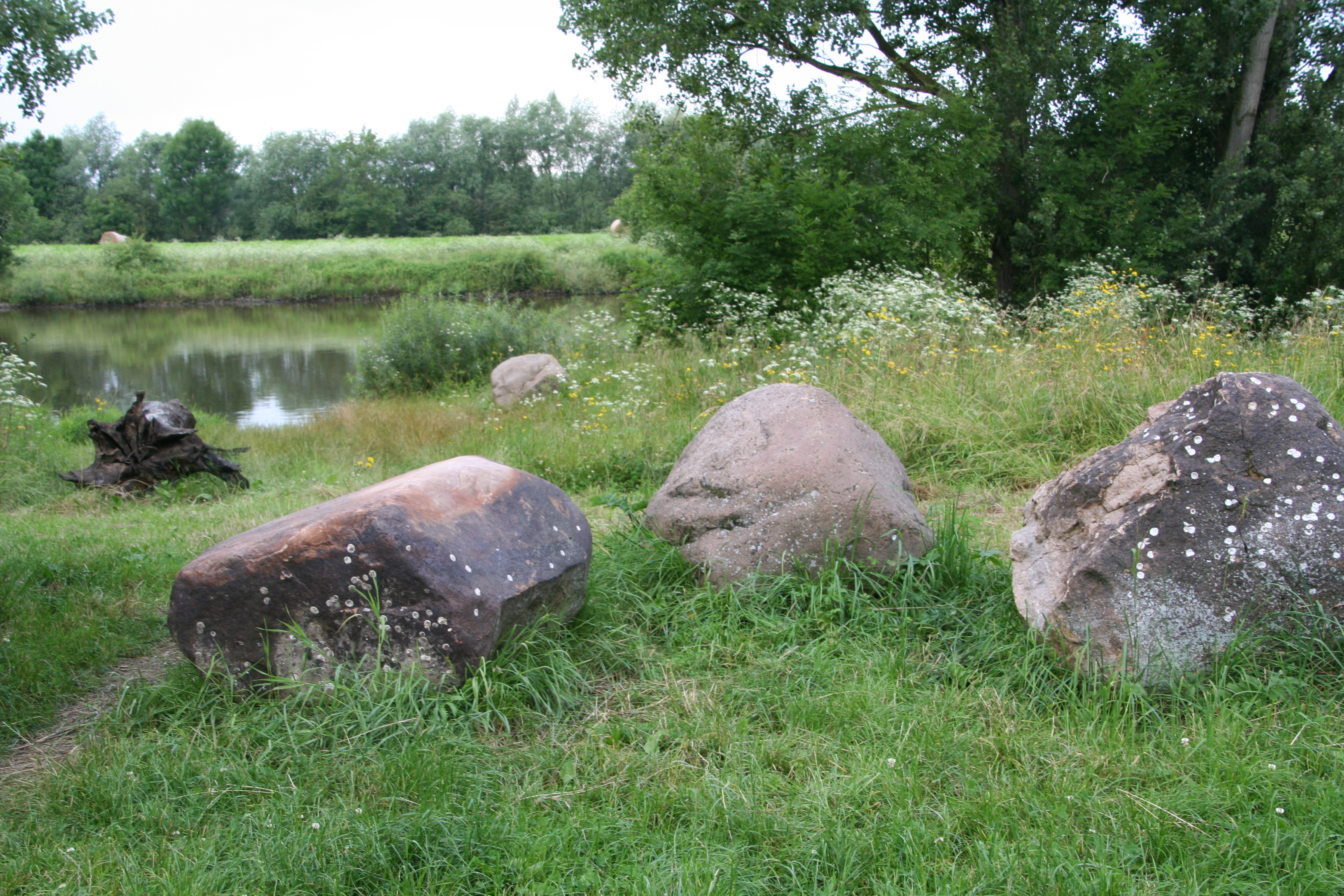 Nienburgs Findlinge