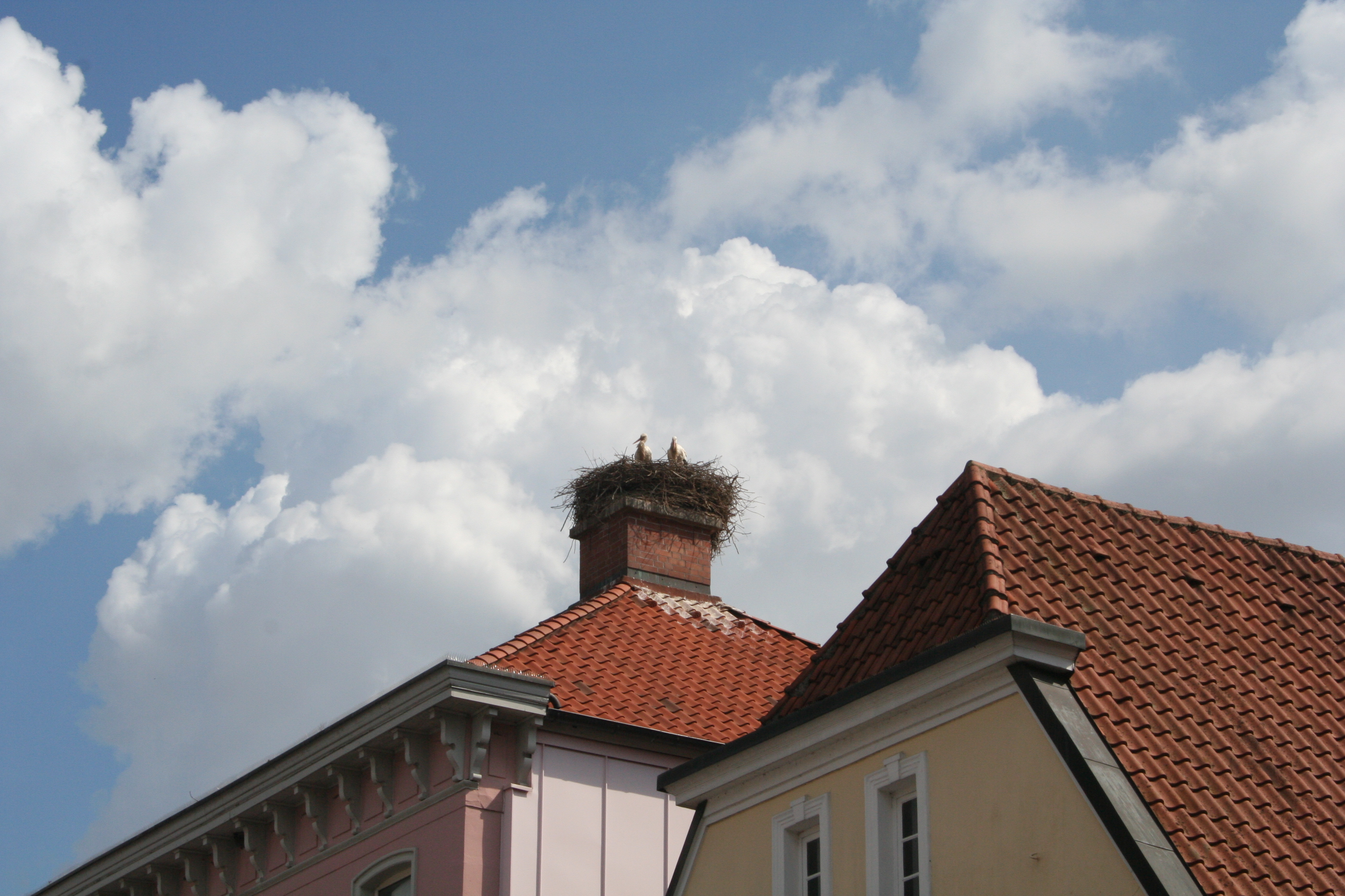 Storchenhaus