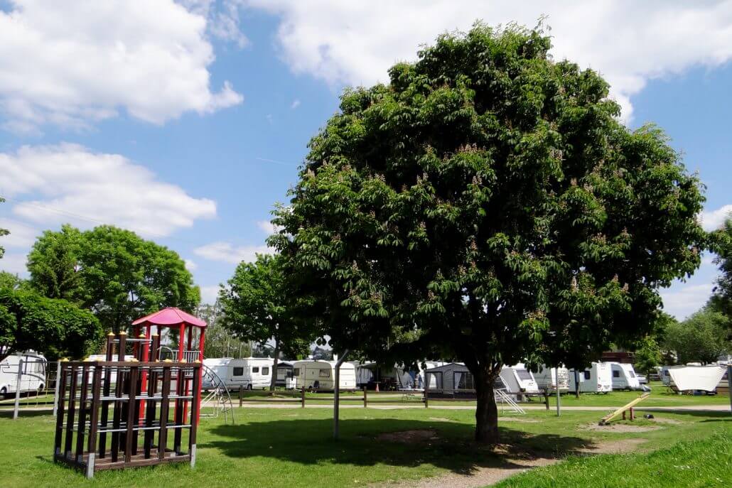 Campingplatz Berger Kln: on the Rhine Rodenkirchen & close to the city  center