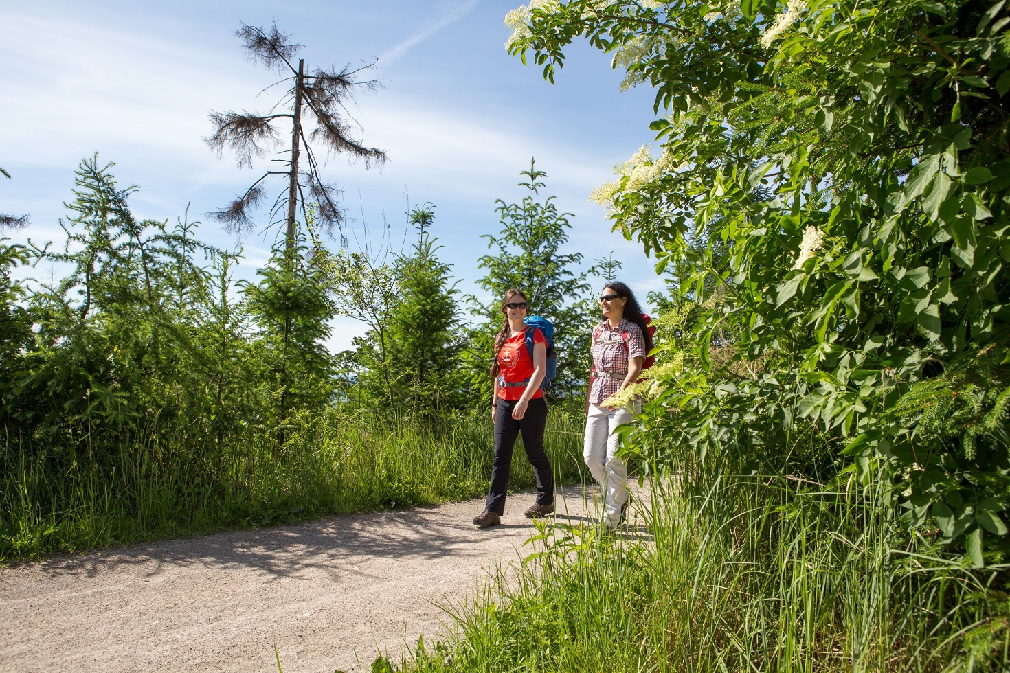 Bennier Rundweg