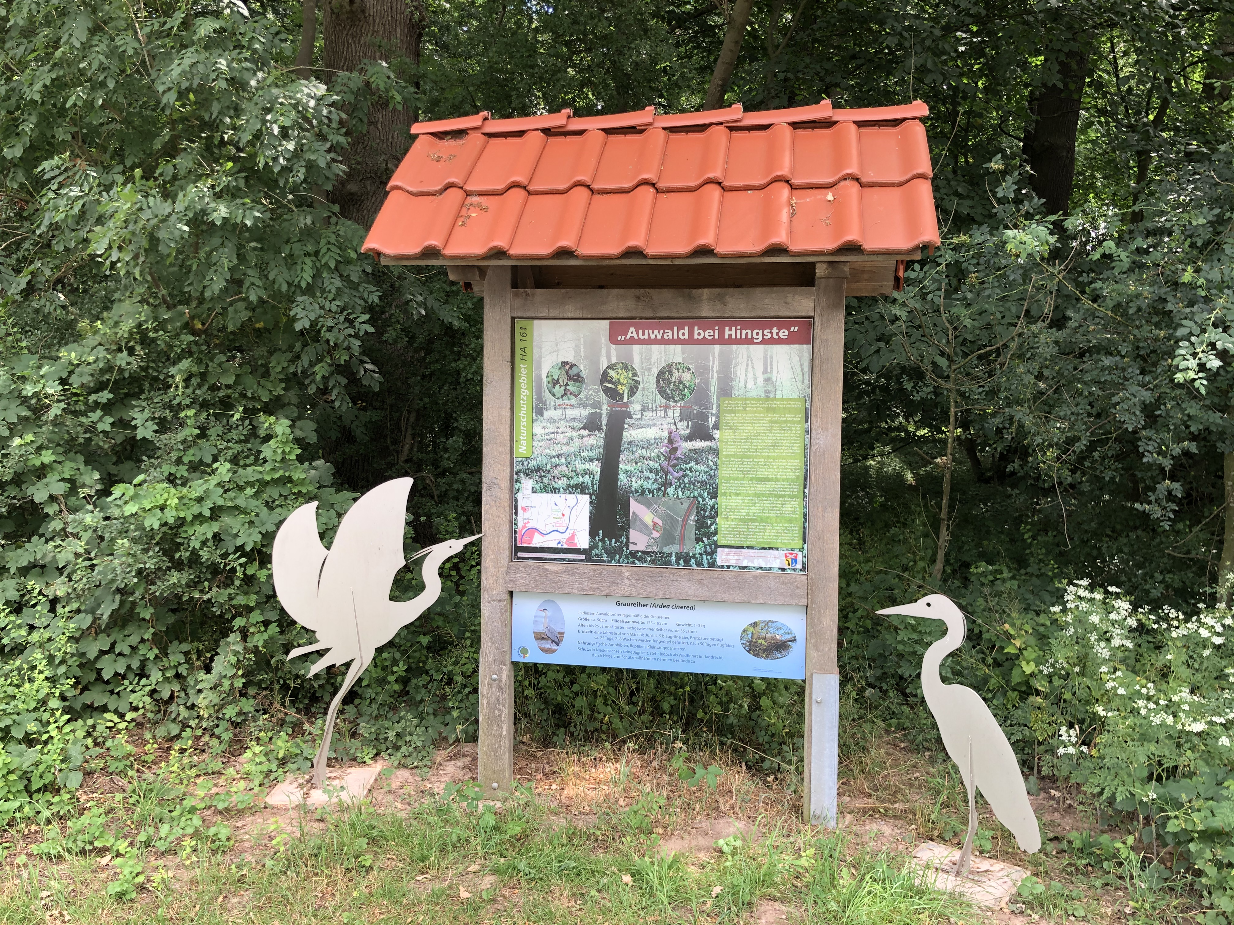Auwald bei Hingste
