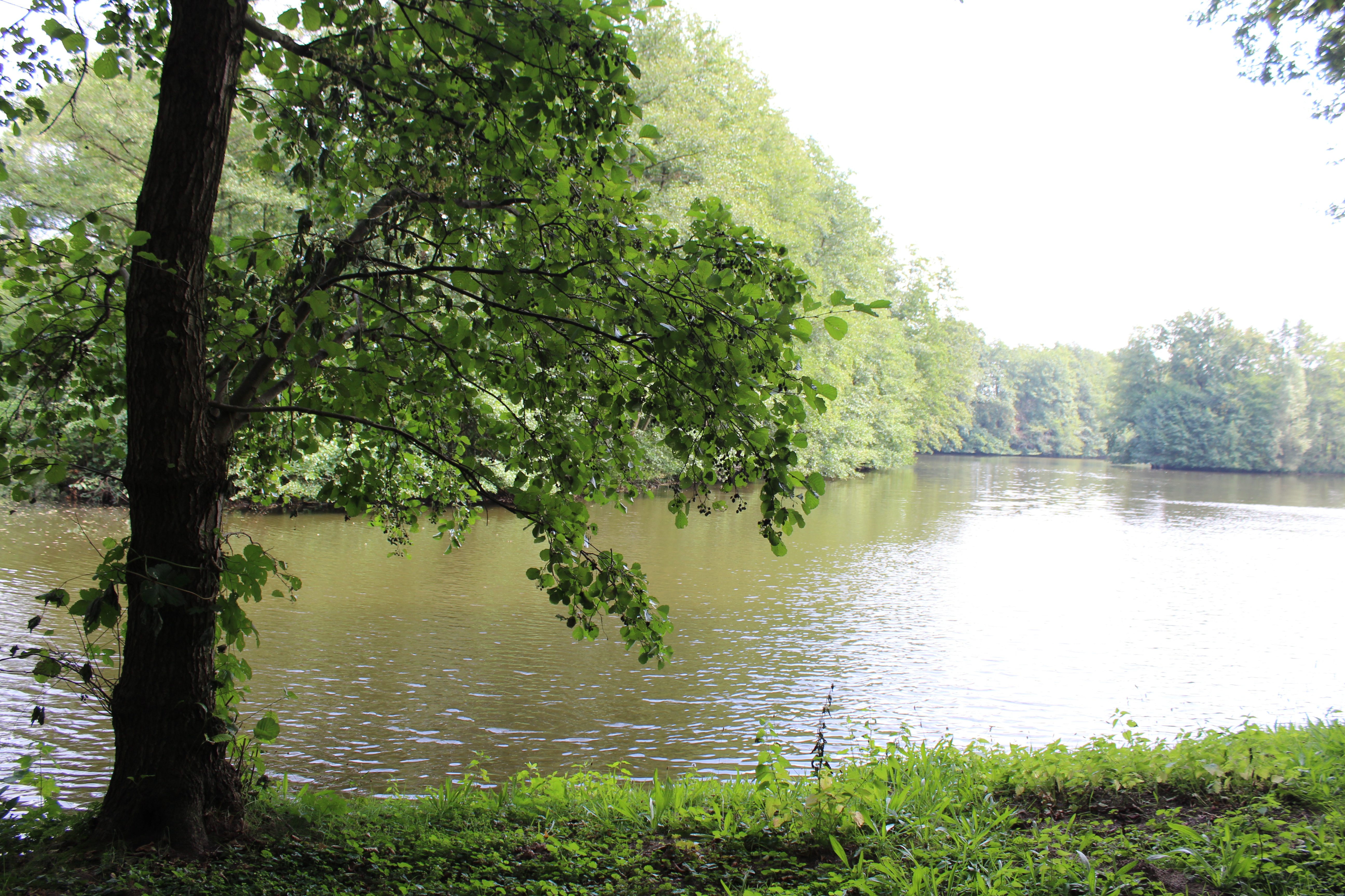 Landschaftssee Lavelsloh