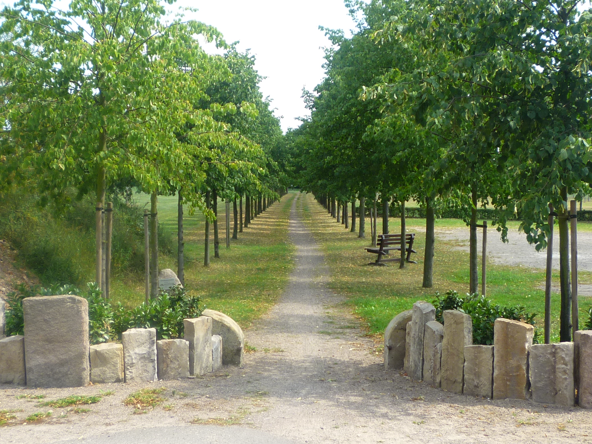 Poetischer Spaziergang durch den Baumpark Thedinghausen