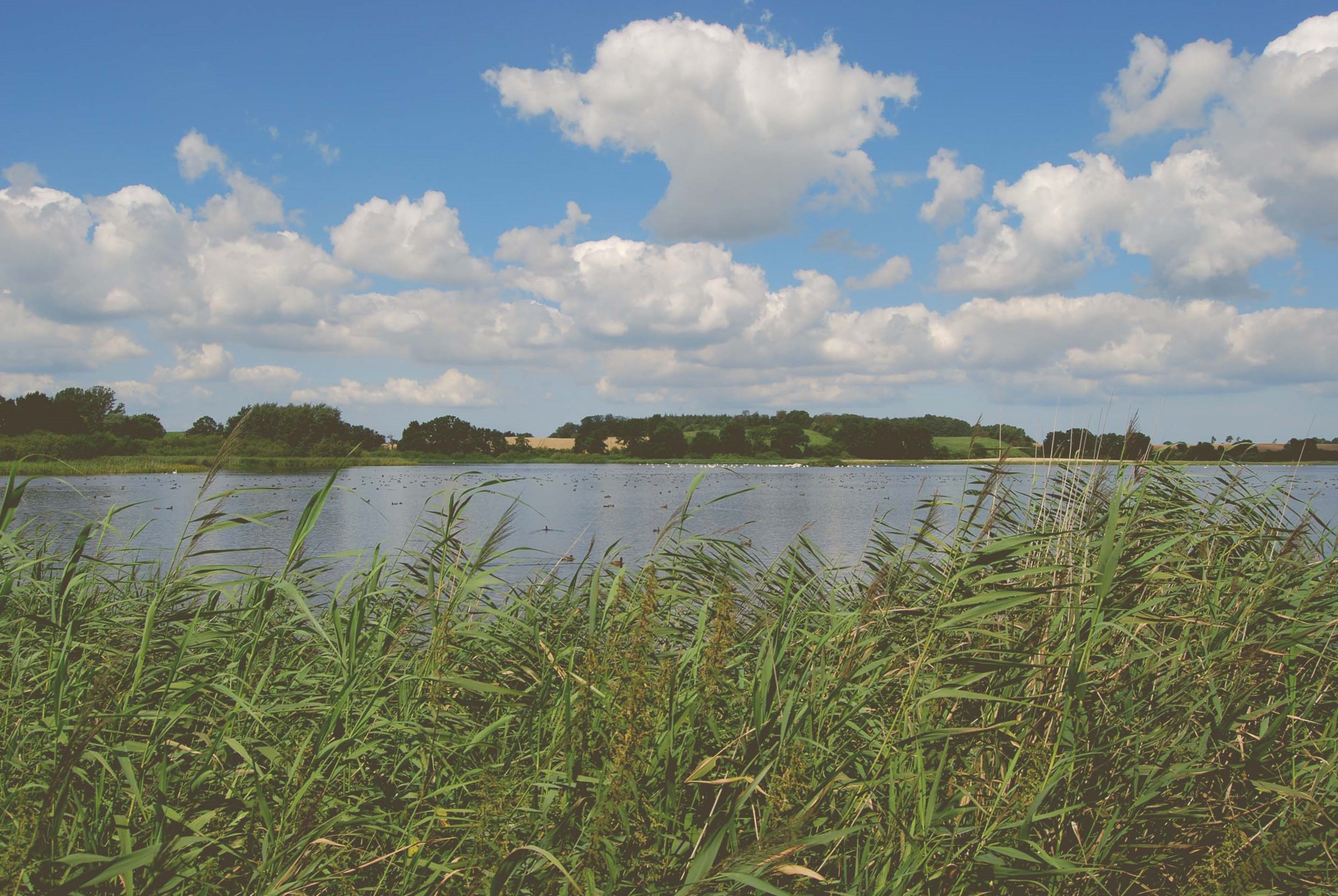 Naturschutzgebiet Vogelfreistätte Lebrader Teiche
