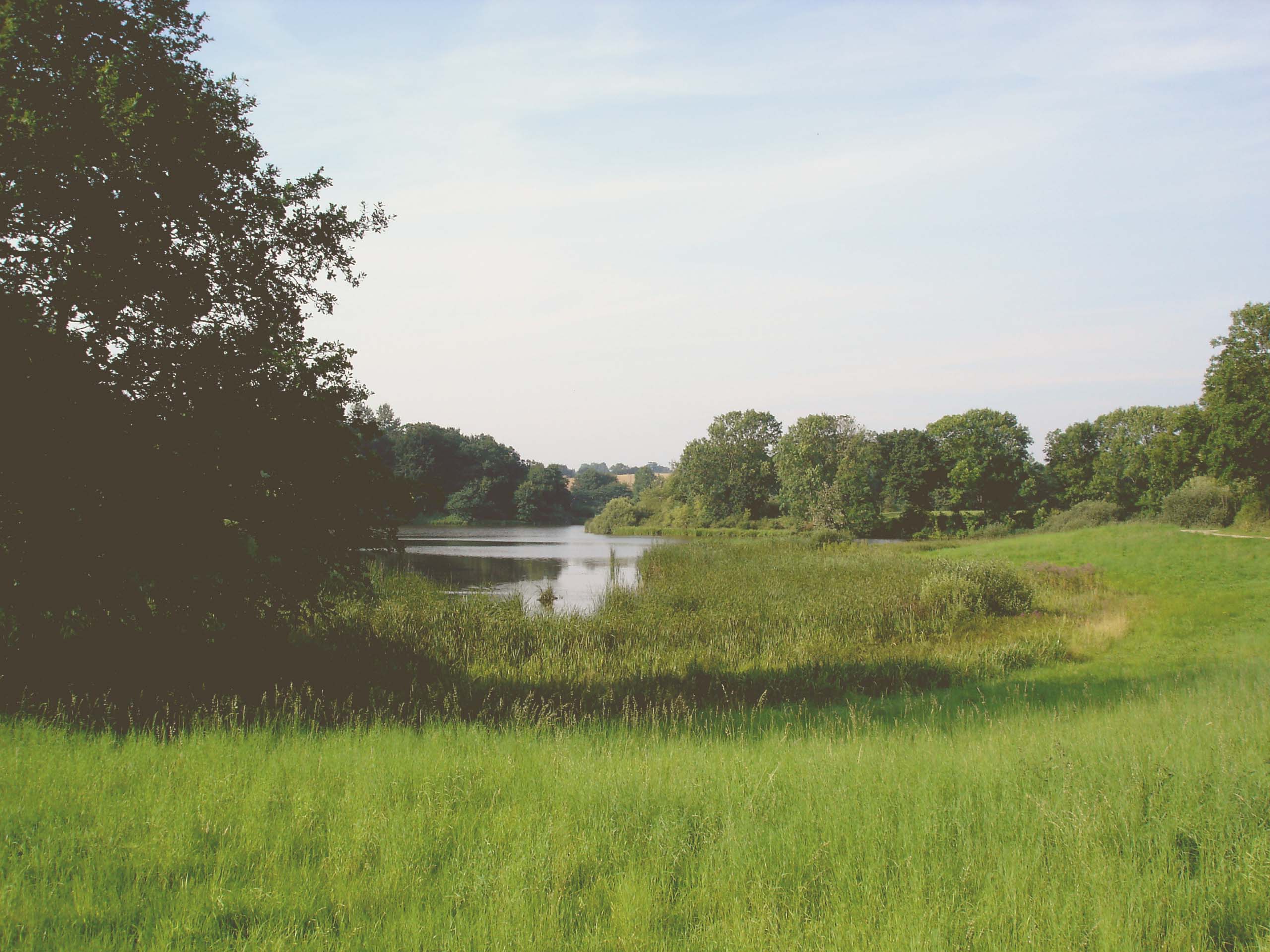 NSG Rixdorfer Teich und Umgebung