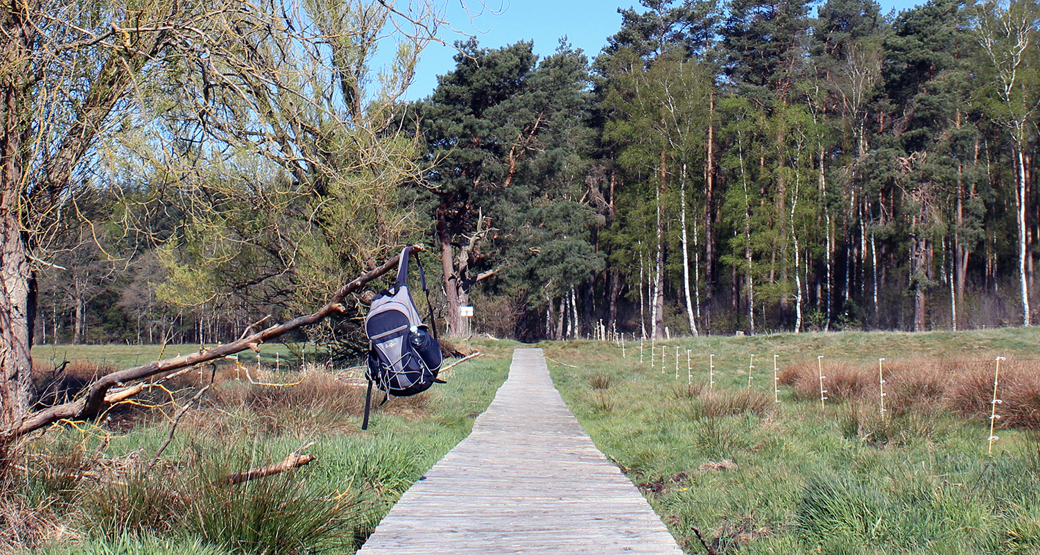 Postmoor