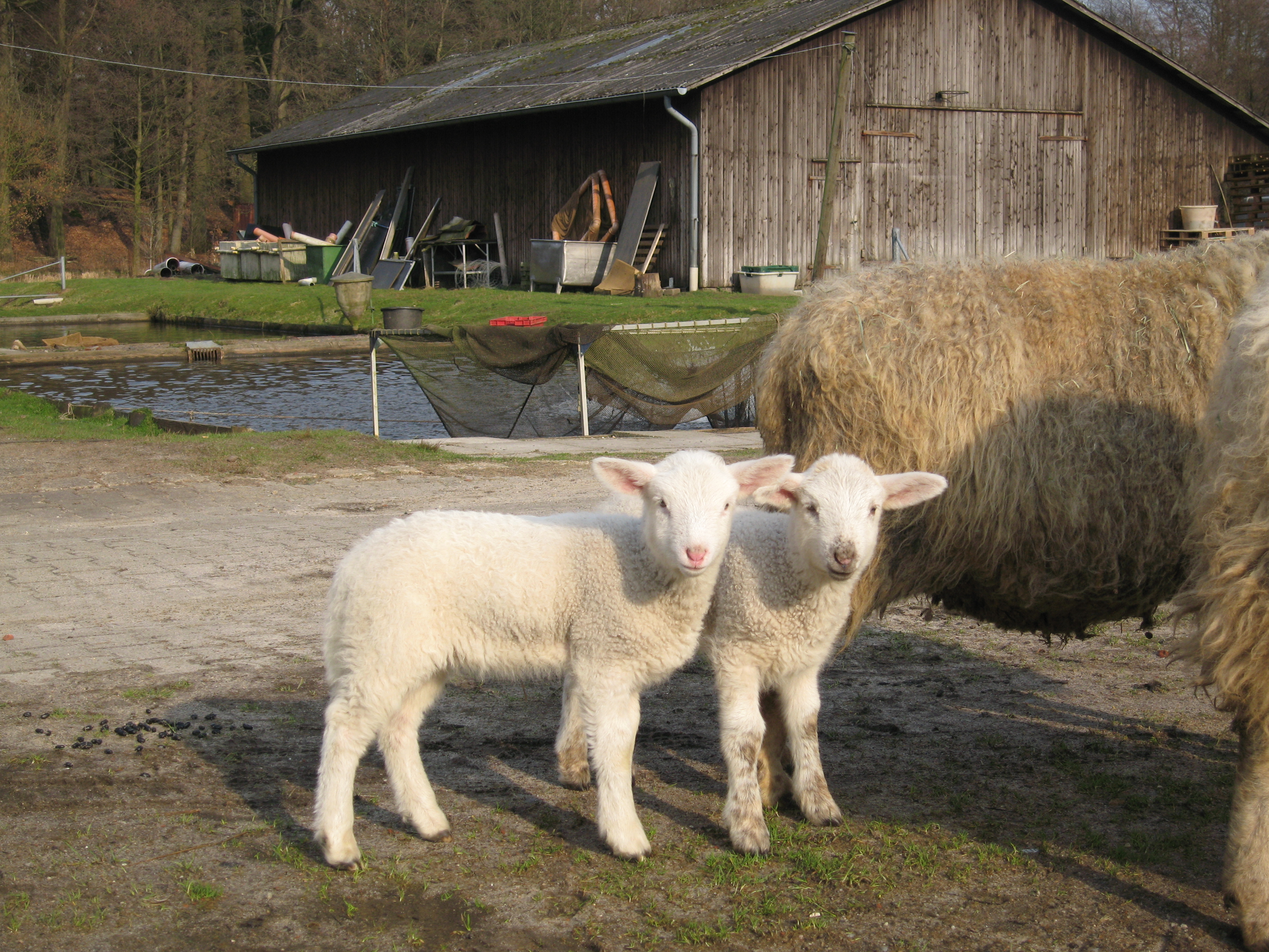 Forellenteichwirtschaft Grevenhof