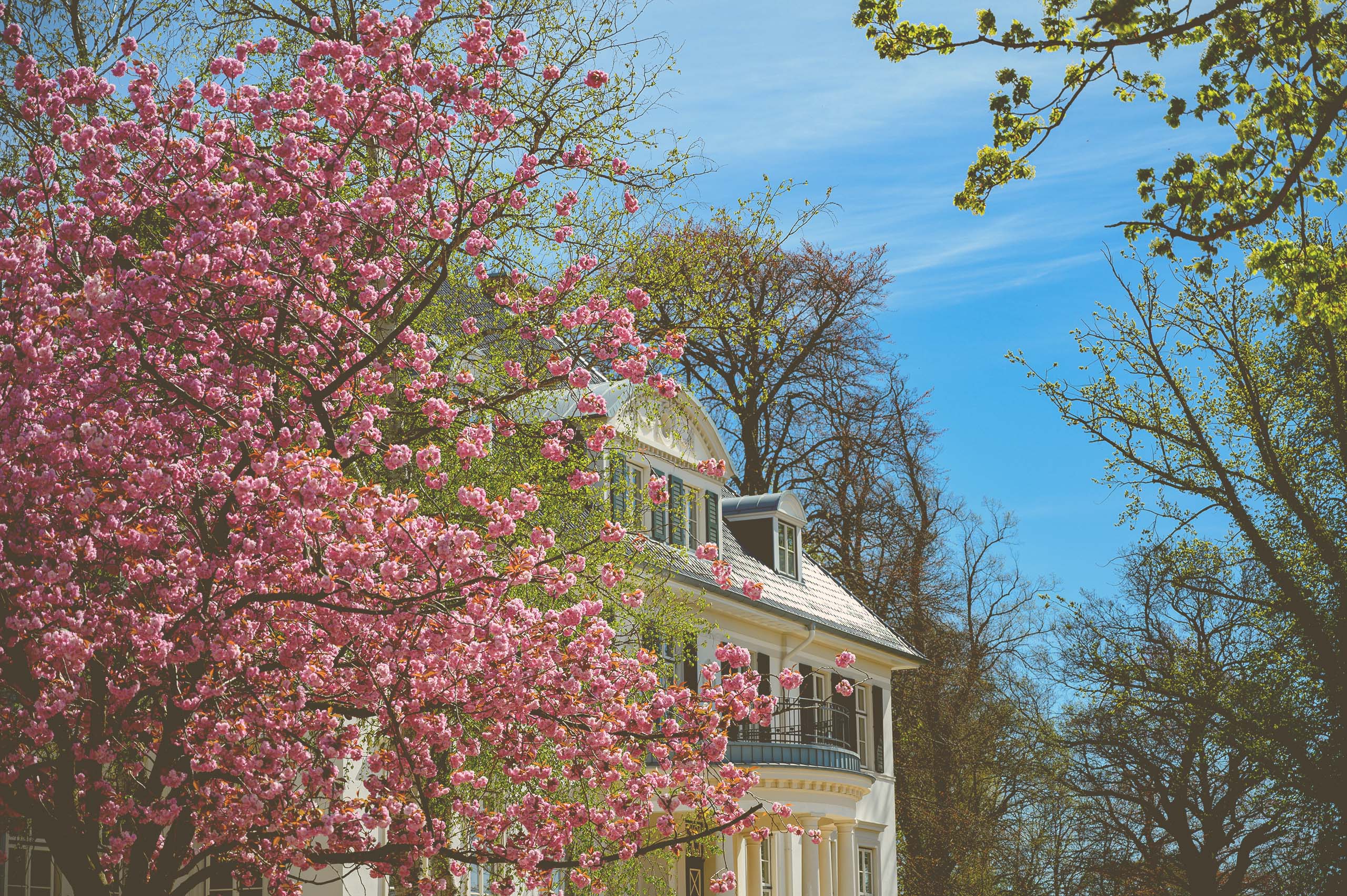 Hotel Gut Immenhof
