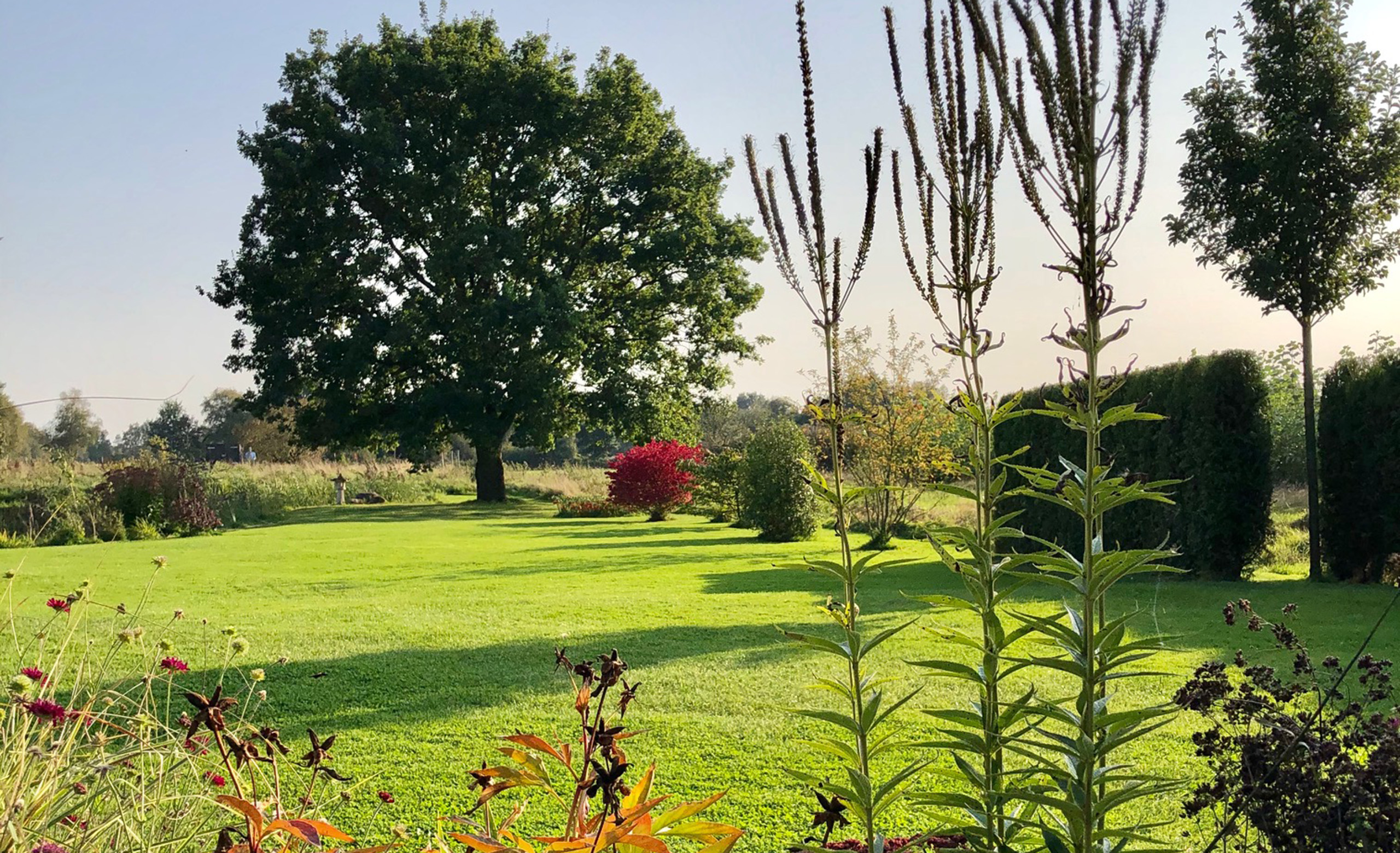 Naturgarten und Flusskrebs Manufaktur