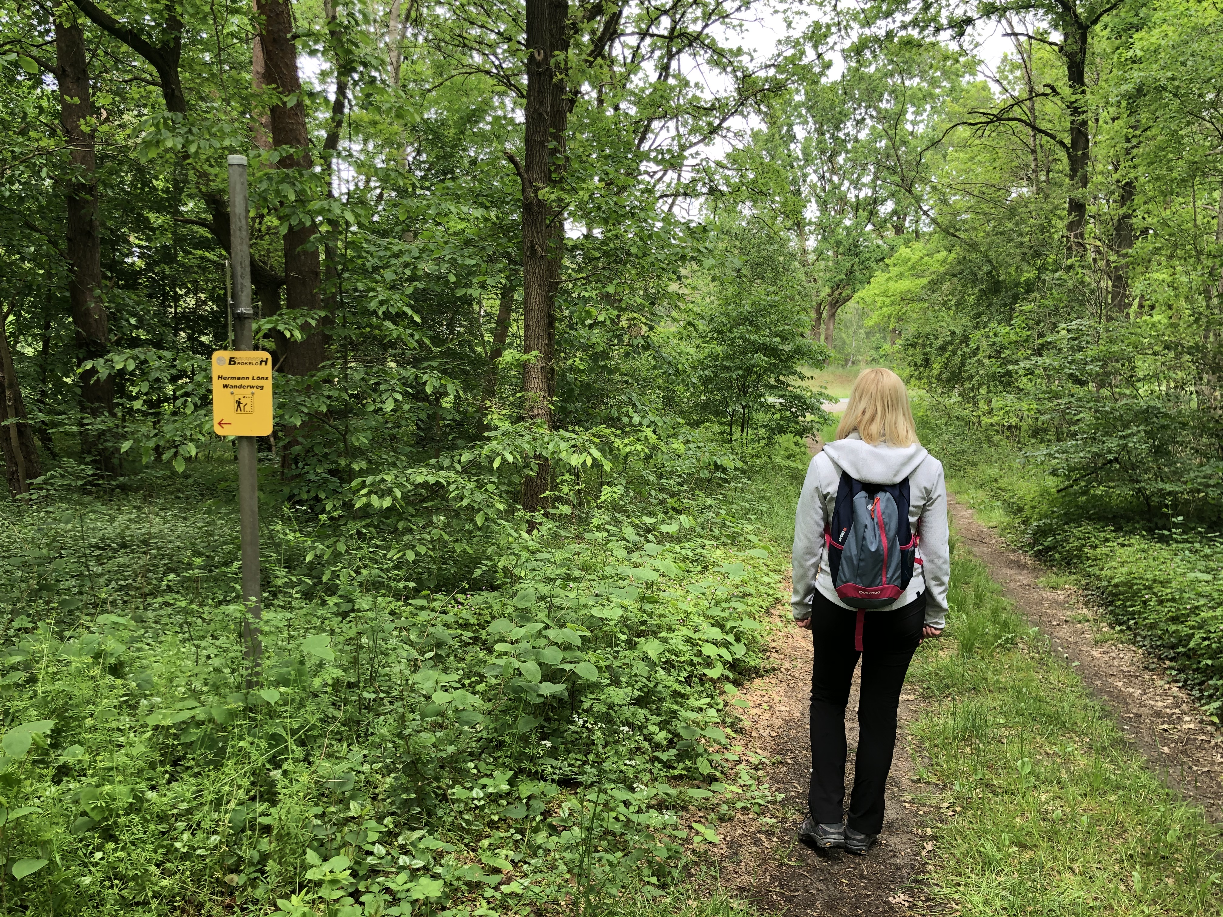 Hermann-Löns-Wanderweg