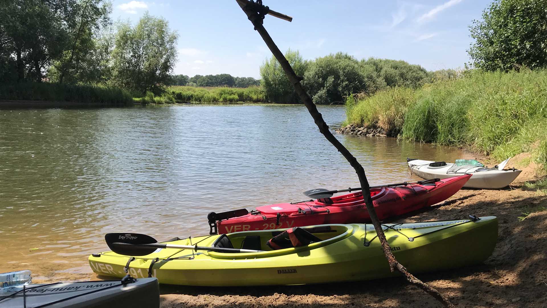 Canoe feeling, paddling on the Aller river