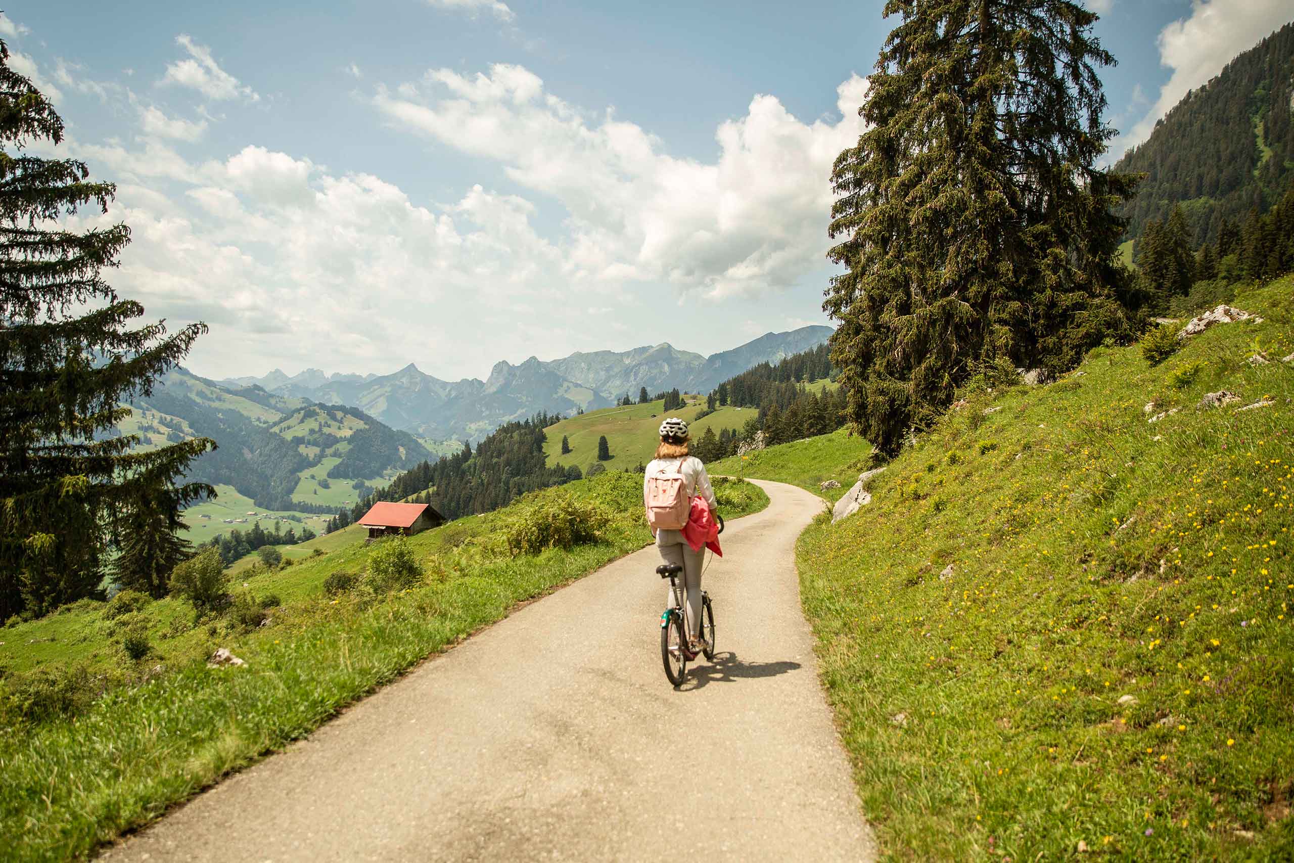 stockhorn-trotti-bike-talfahrt-aussicht-simmental-sommer-landschaft.jpg