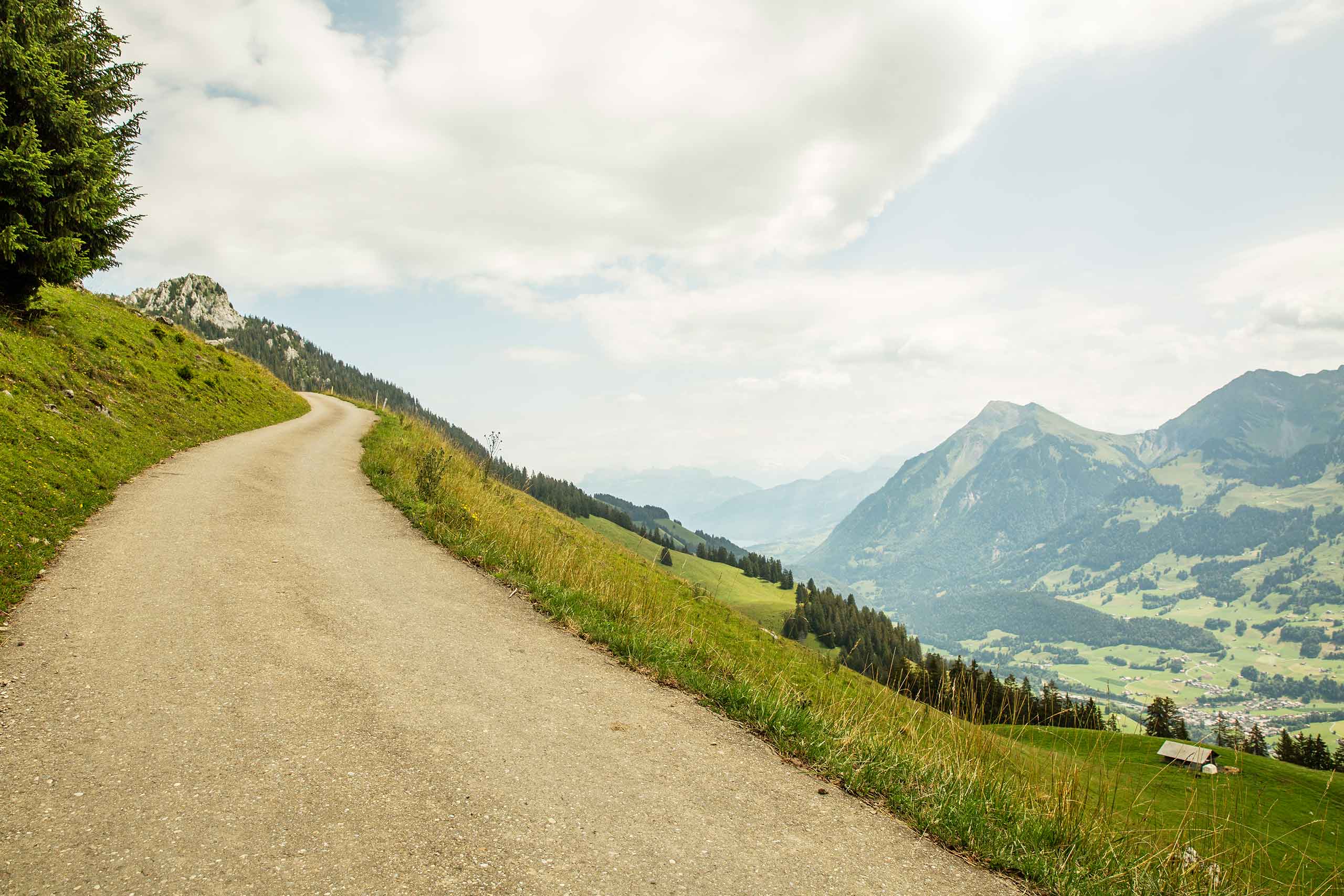 stockhorn-trotti-bike-sommer-strasse-wiese-landschaft-simmental.jpg