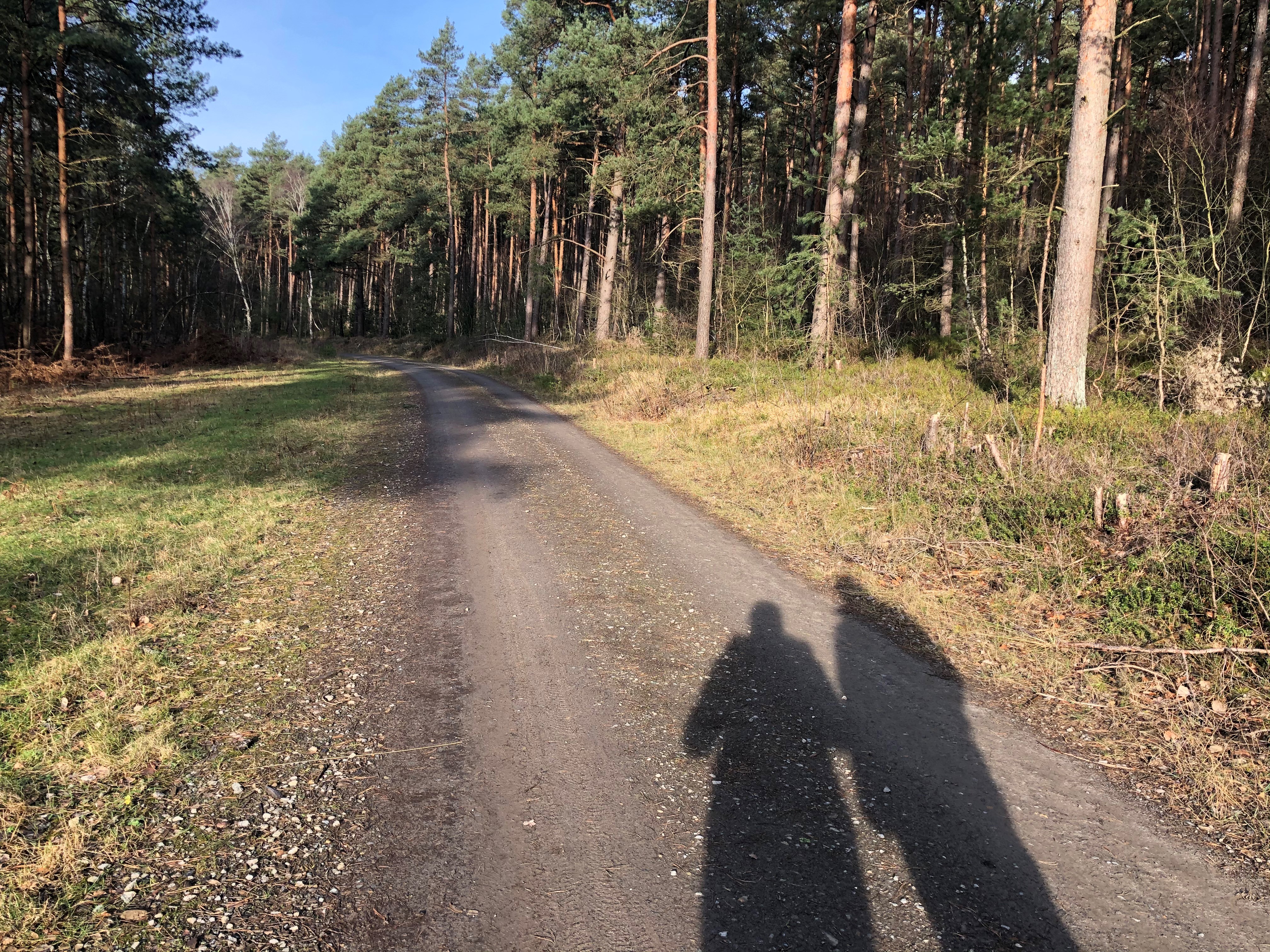 Waldweg Husum