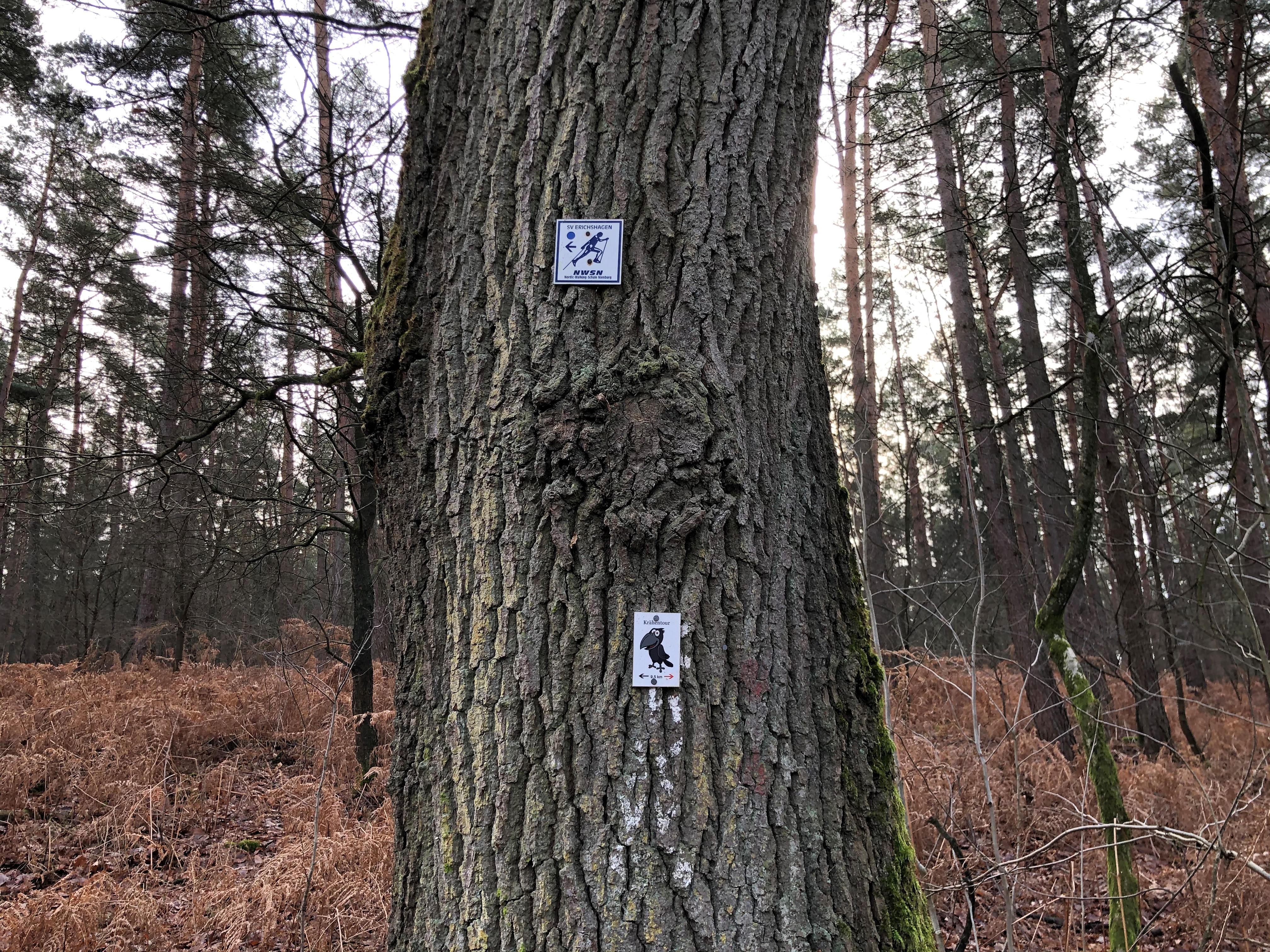 Langendamm-Rote Strecke