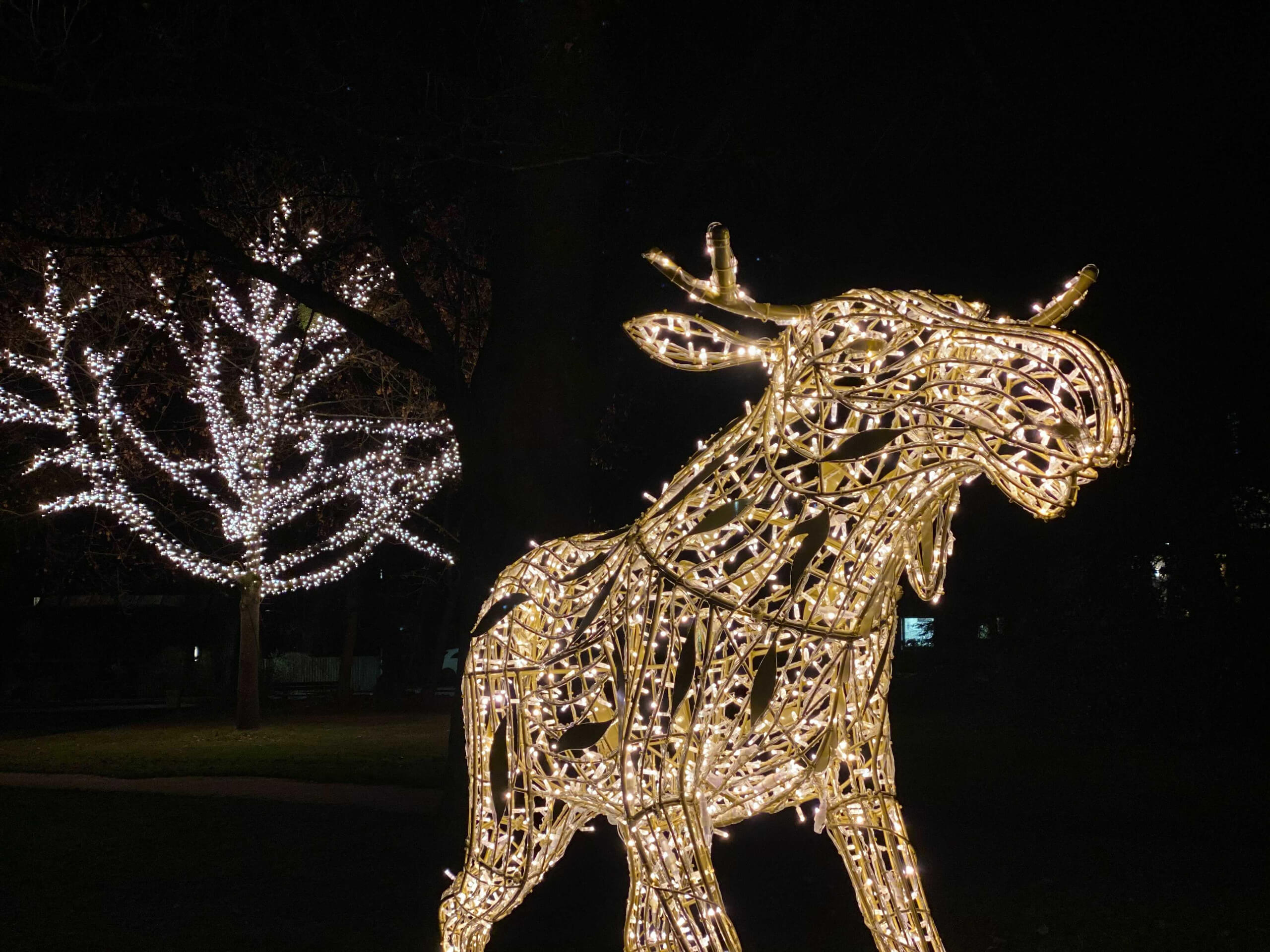 Lichterzauber in Hann. Münden