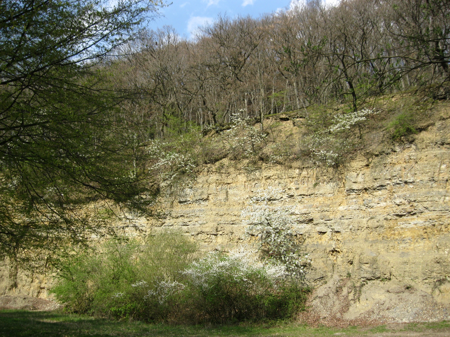 Steinbruch N  llberg Extertal-La  bruch