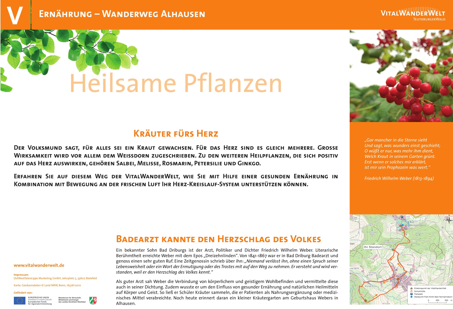 VitalWanderWelt Wanderweg Alhausen - Heilsame Pflanzen