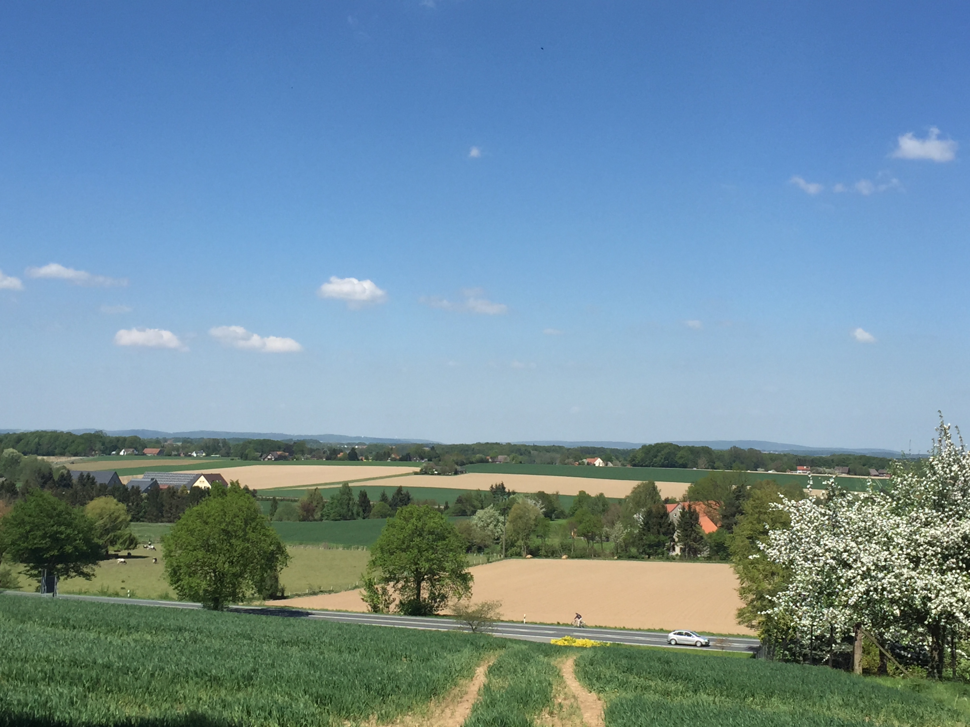 RW Rundwanderweg Werther 3. Etappe (Theenhausen Innenstadt)