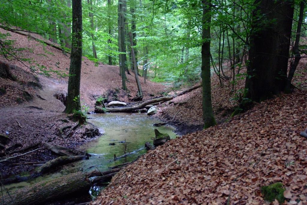 HasselbachRunde