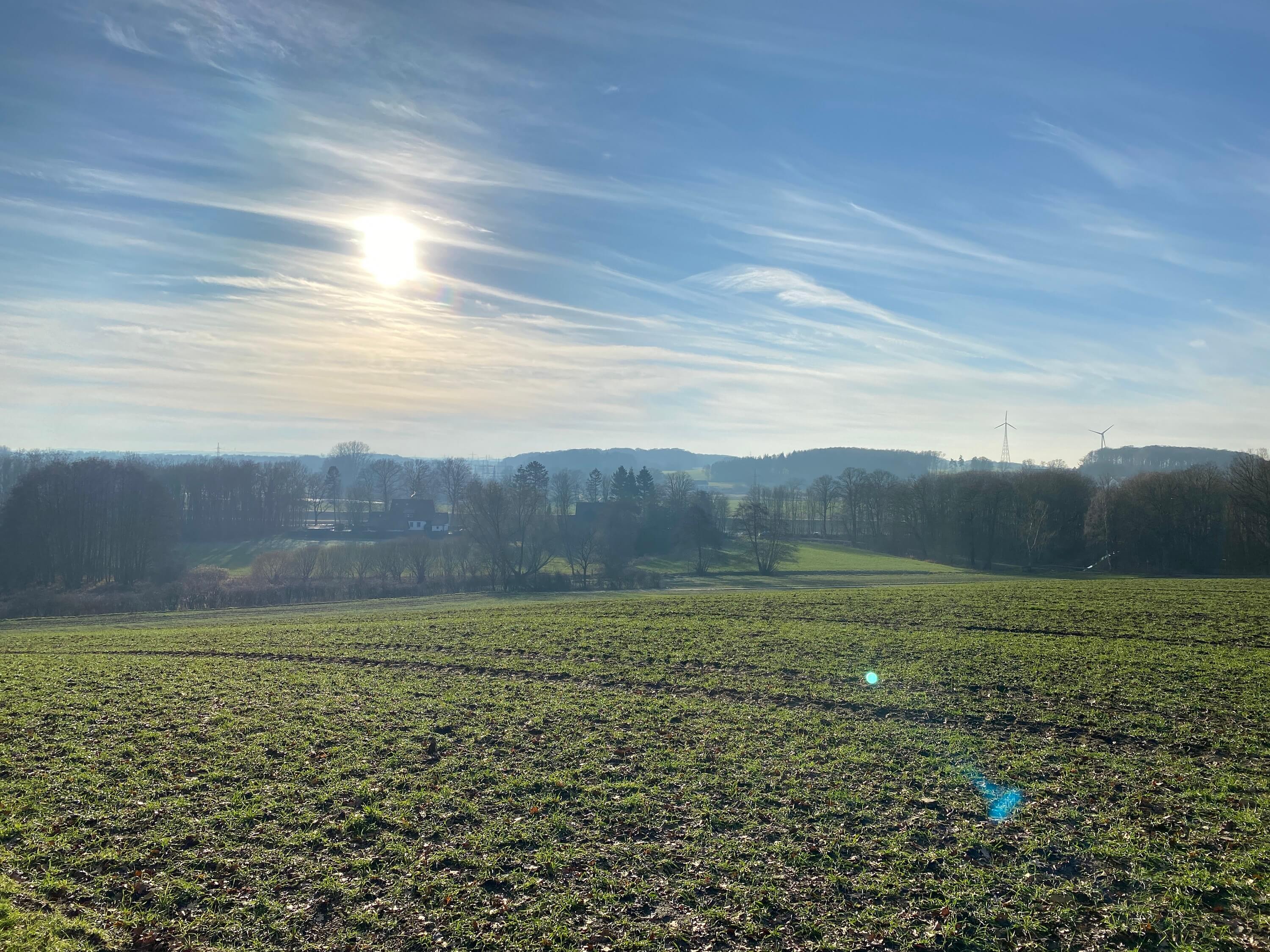 TERRA.track Hollager Berg