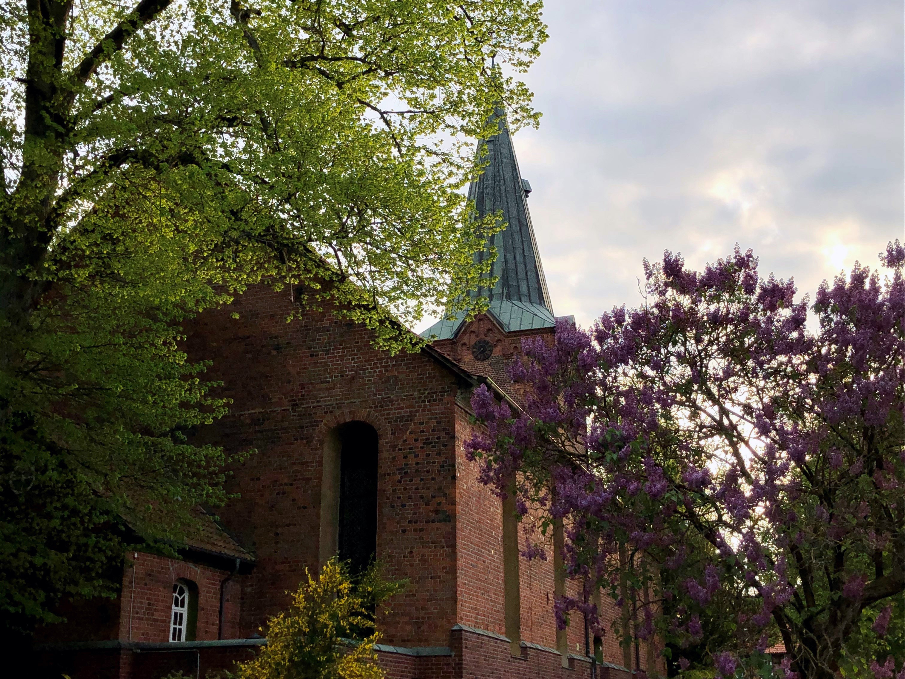 Dreikönigskirche Bad Bevensen