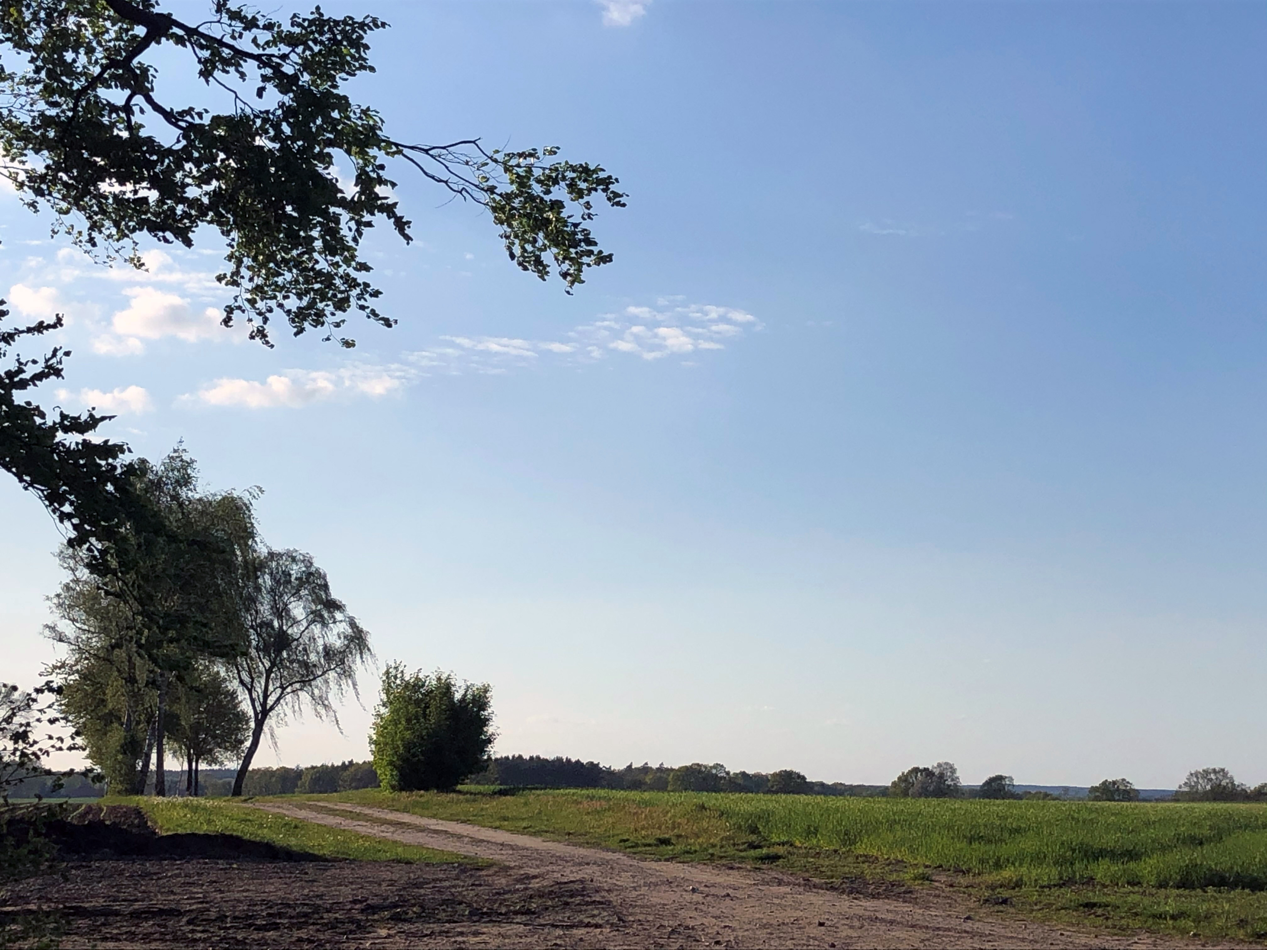 Durch Wald und Felder