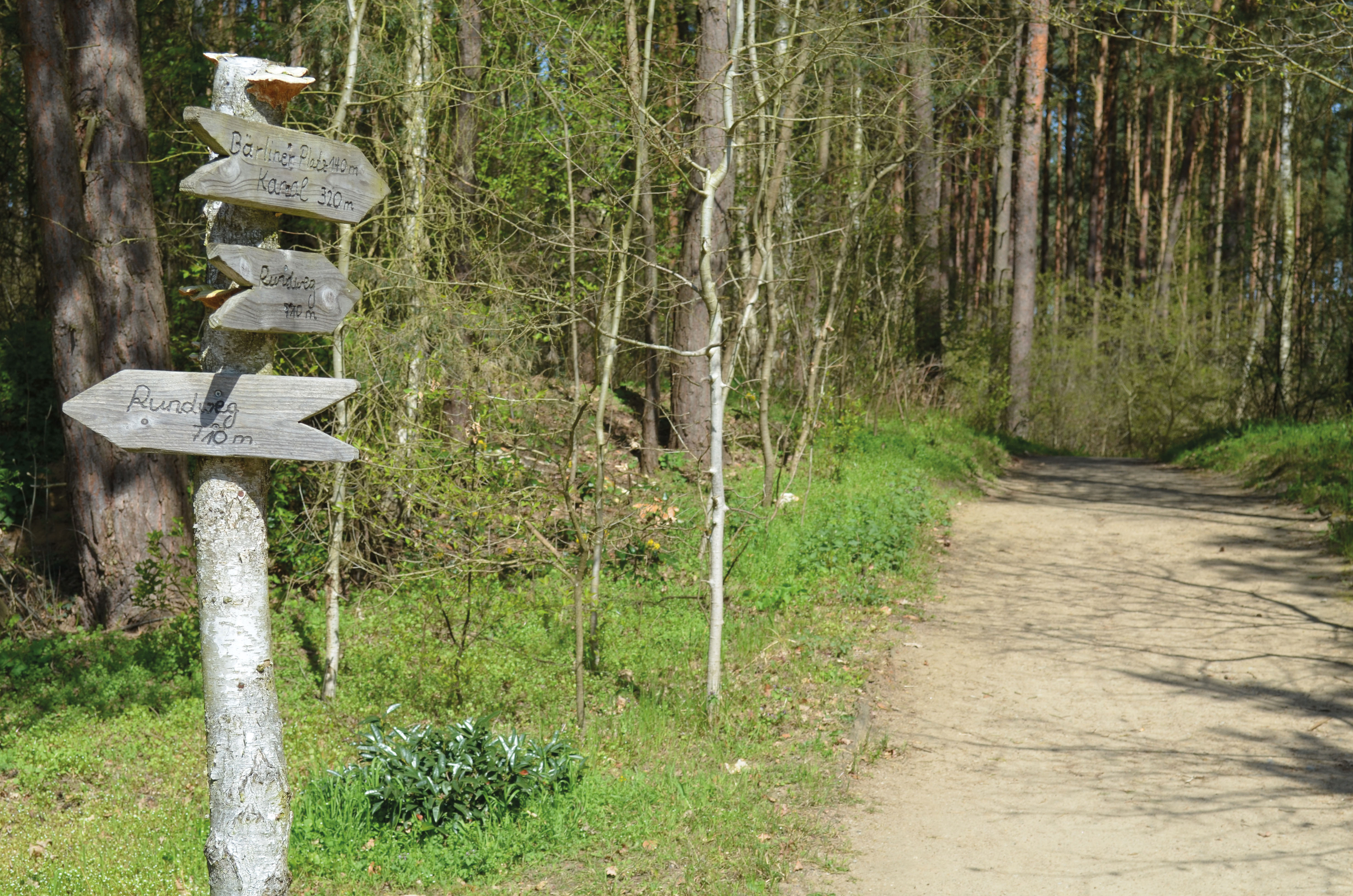Rollstuhlwanderweg