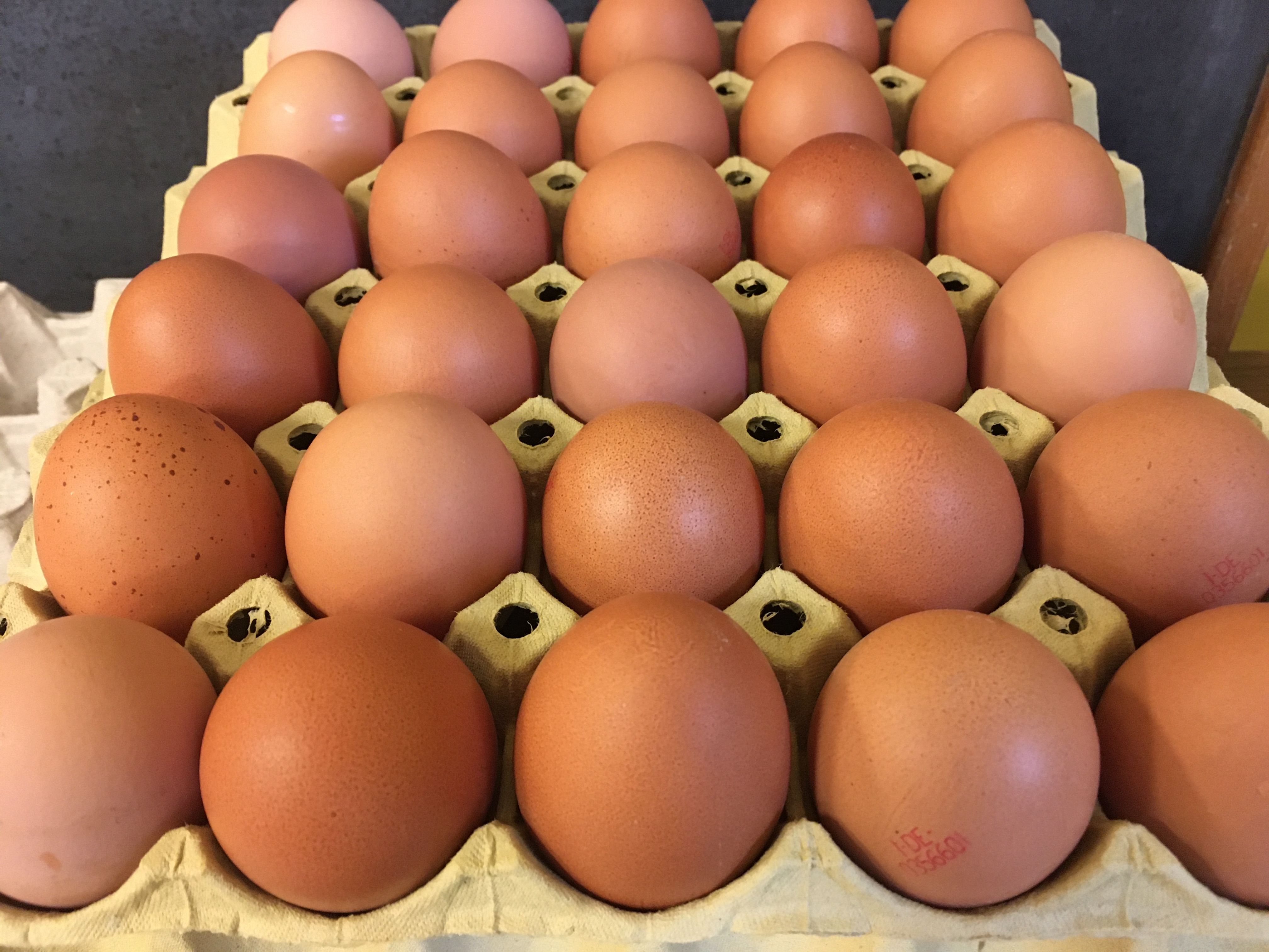Frische Eier vom Hof 