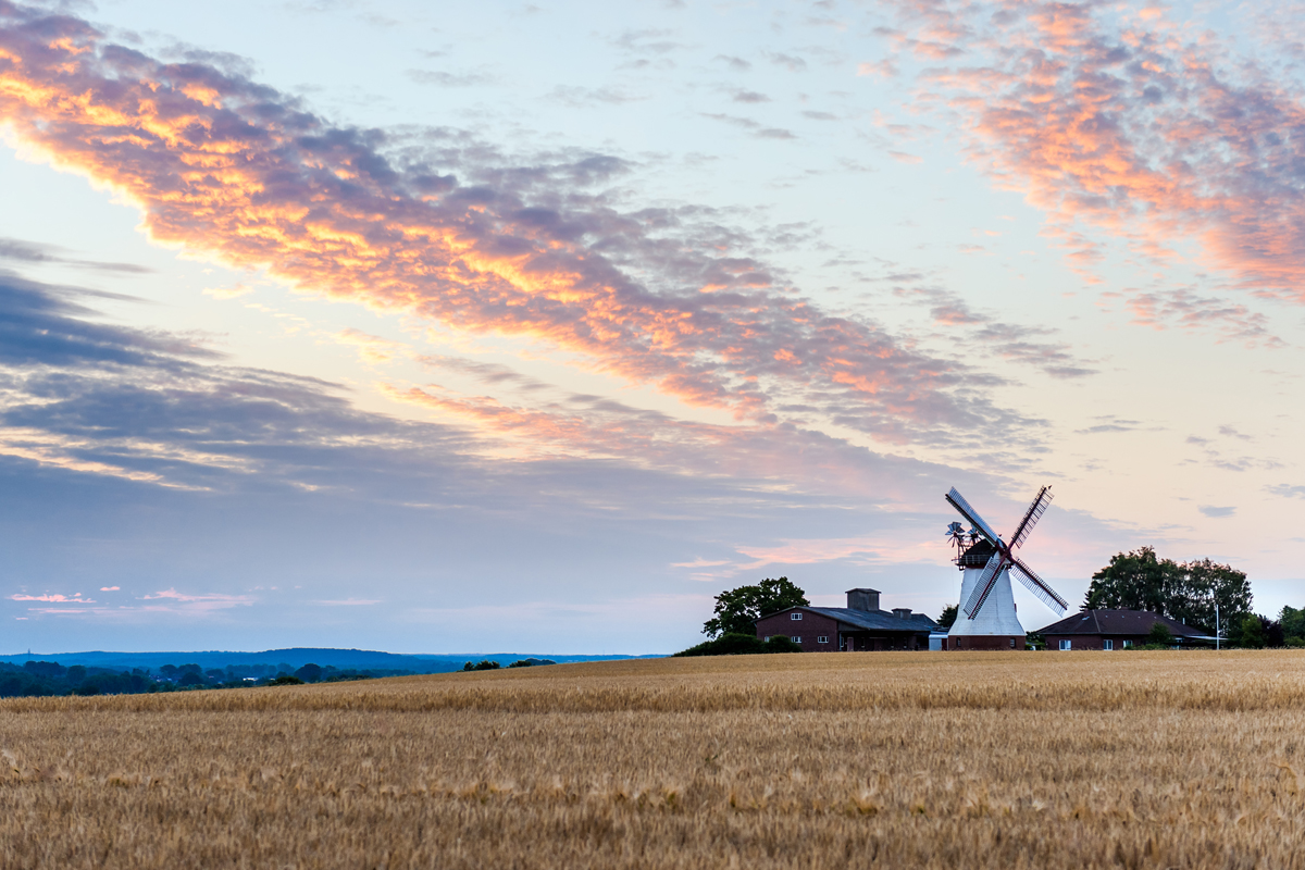 Eyendorf: Erd-Holländerwindmühle | Lüneburger Heide