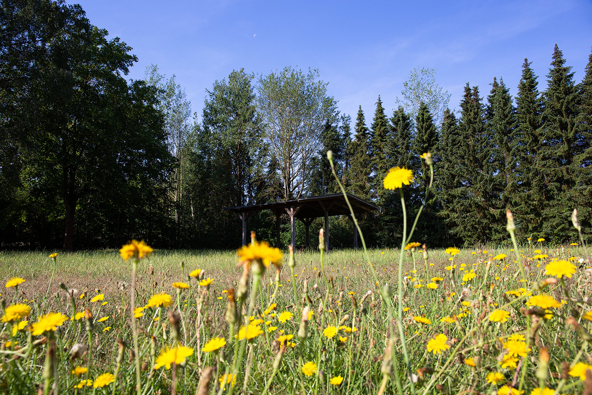Wohnmobilstellplatz Hochwald Unterlüß — photo 4