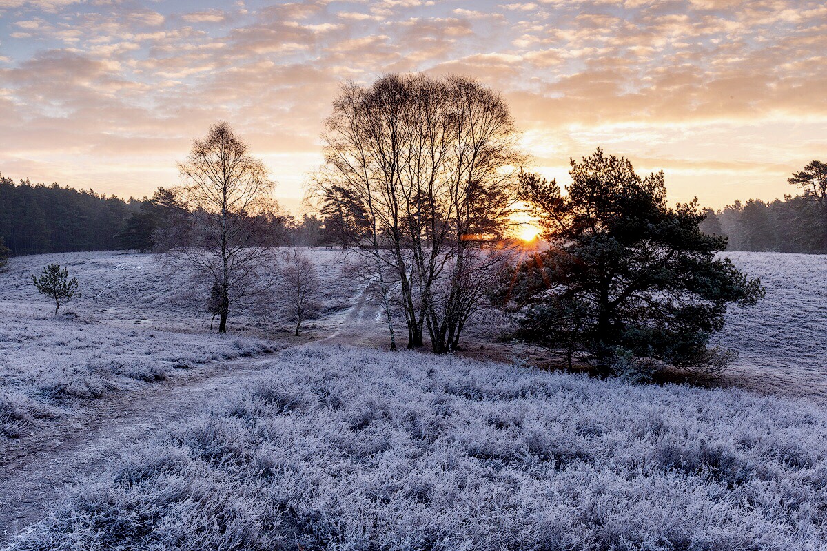 Fotografieren im Winter in der Lüneburger Heide | Lüneburger Heide