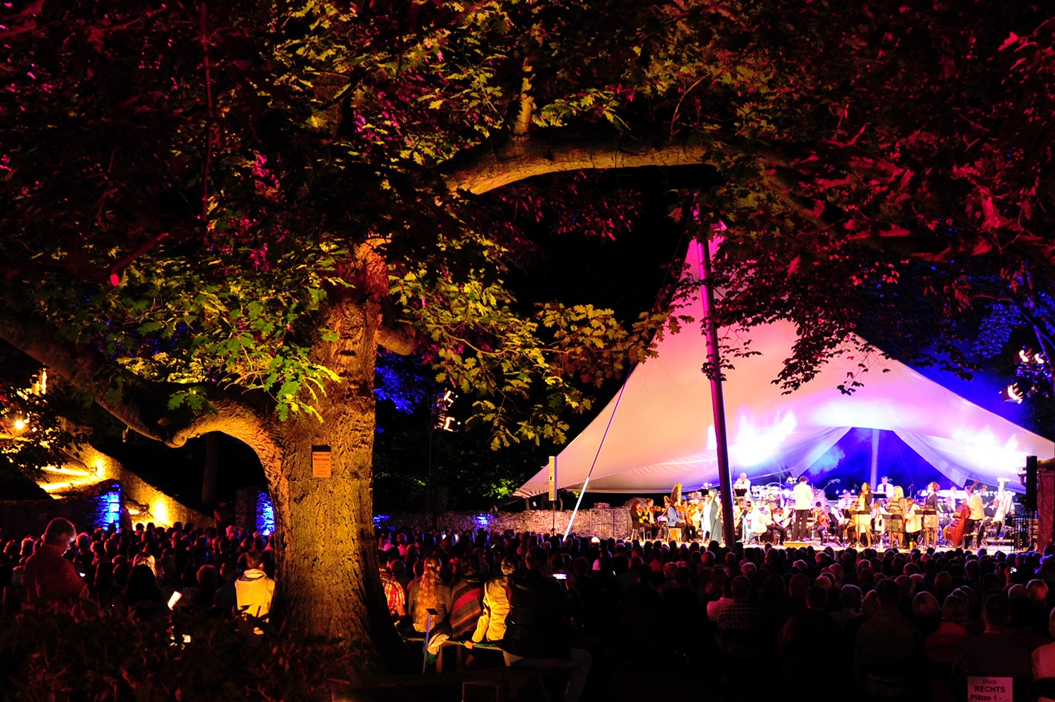 Vogtland Philharmonie Greiz/Reichenbach e. V. – Motiv