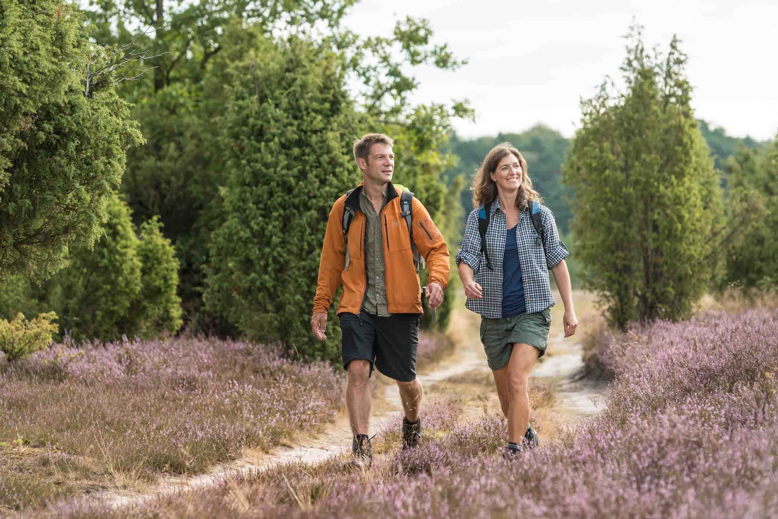Wandern im Wacholderwald bei Schmarbeck