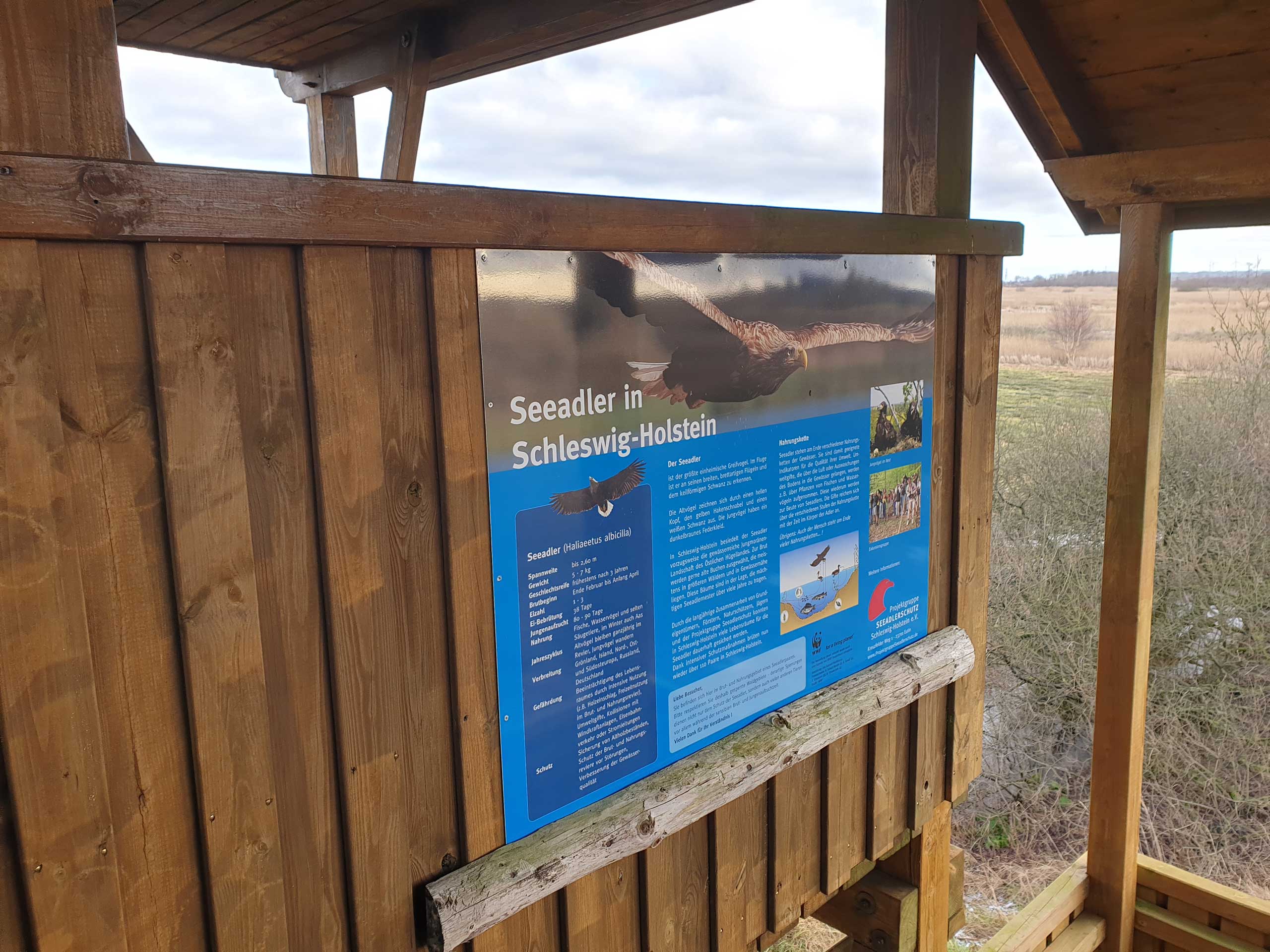Aktionsmonat Mai: Das Naturschutzgebiet Lundener Niederung - Beobachtung der Seeadler