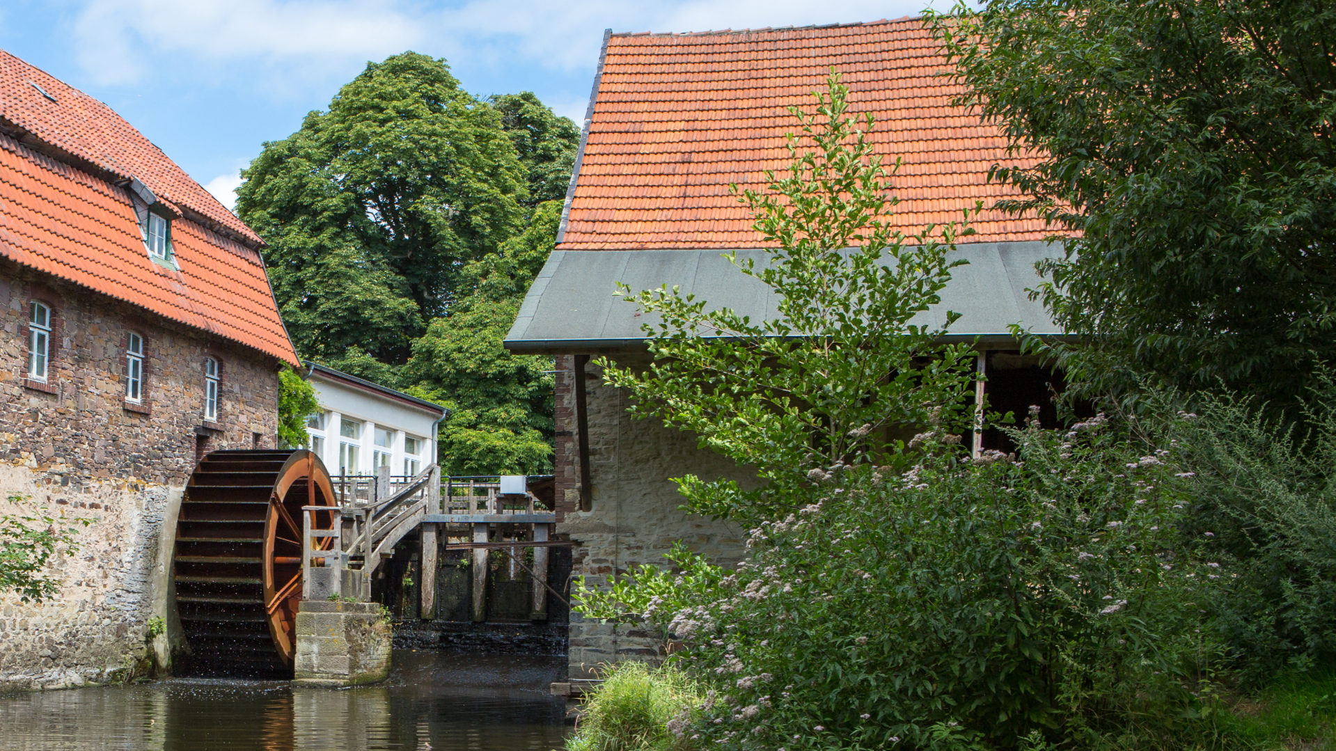Nackte Mühle