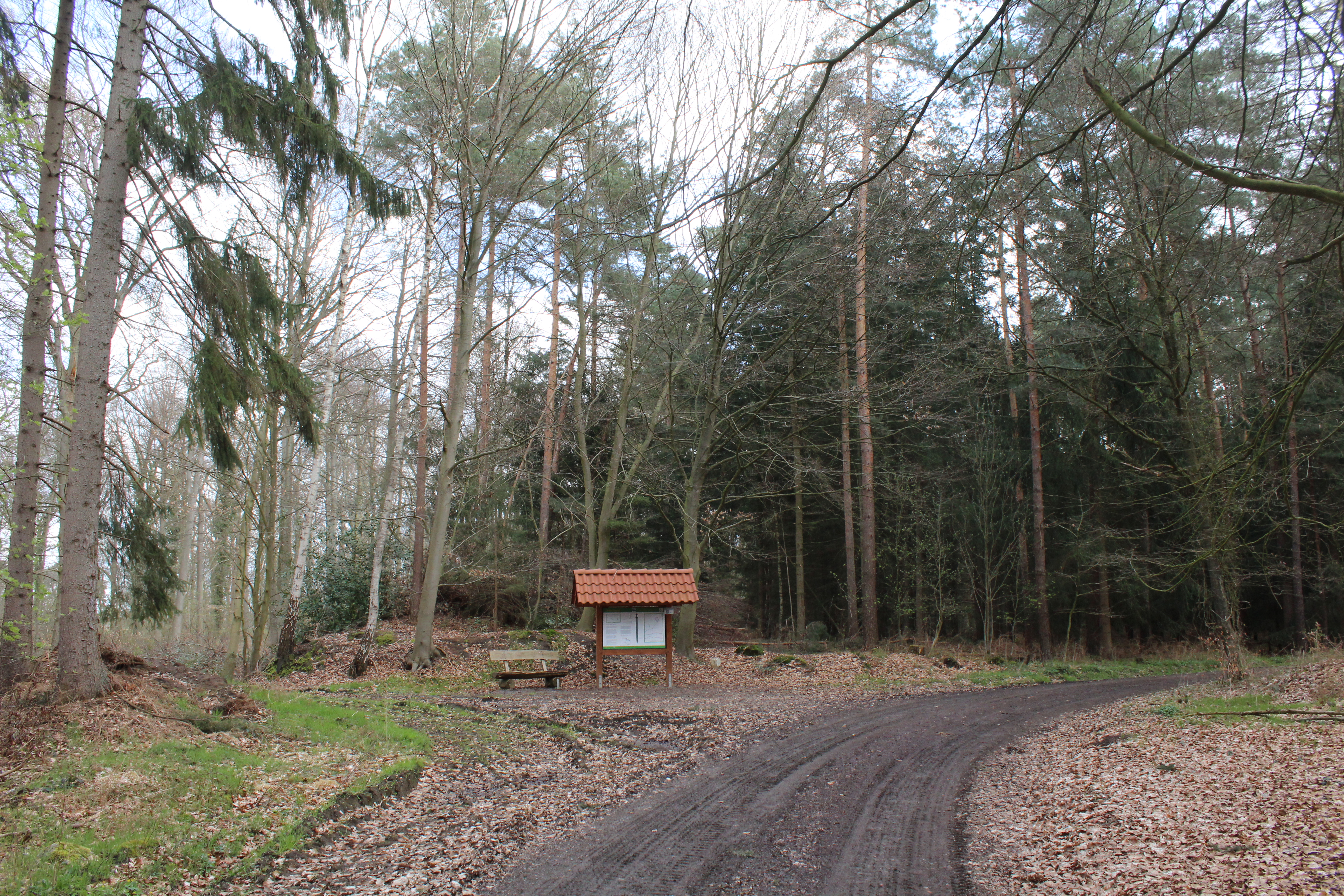 Das Geheimnis der Brunsburg