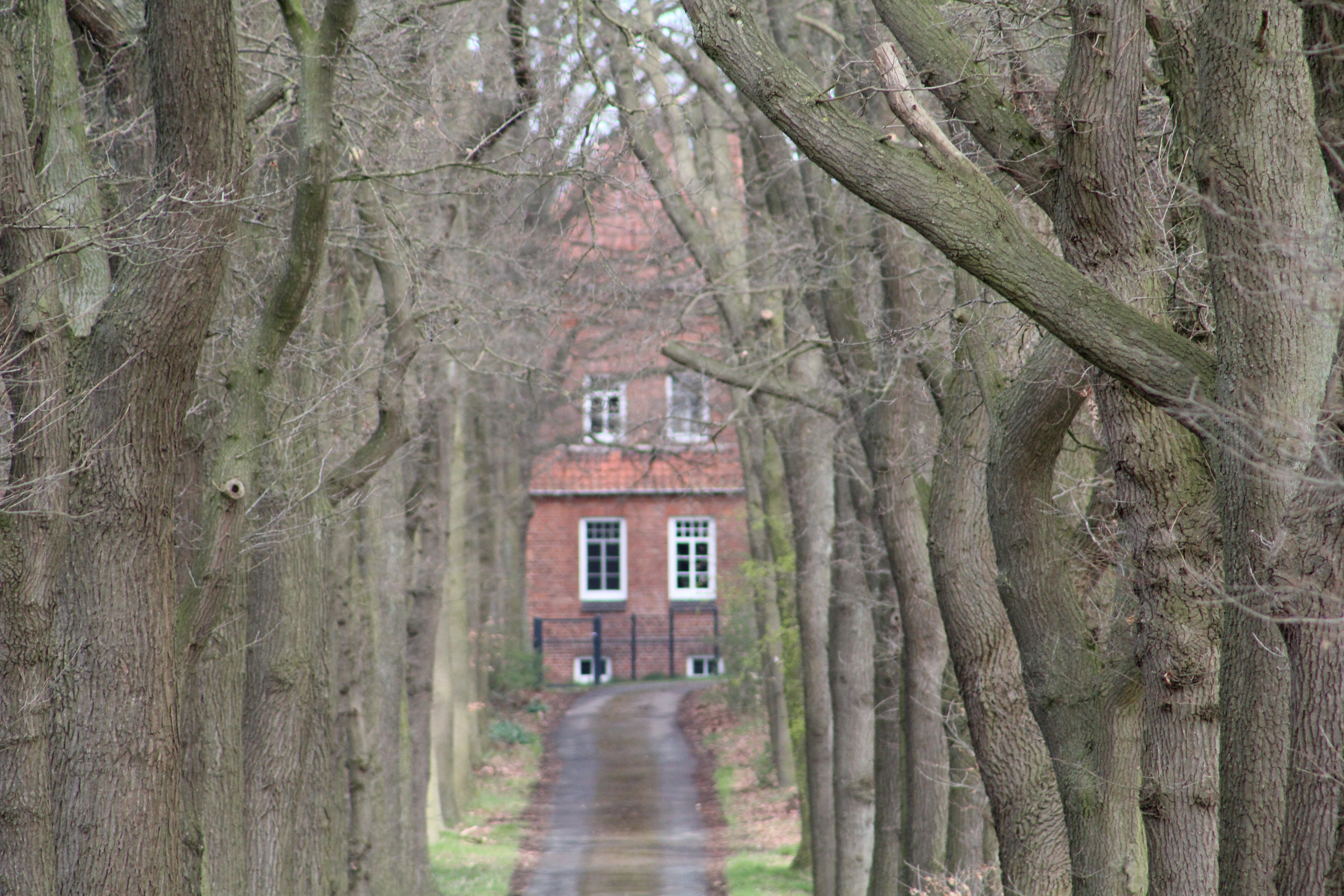 Wassermühle Hohnhorst