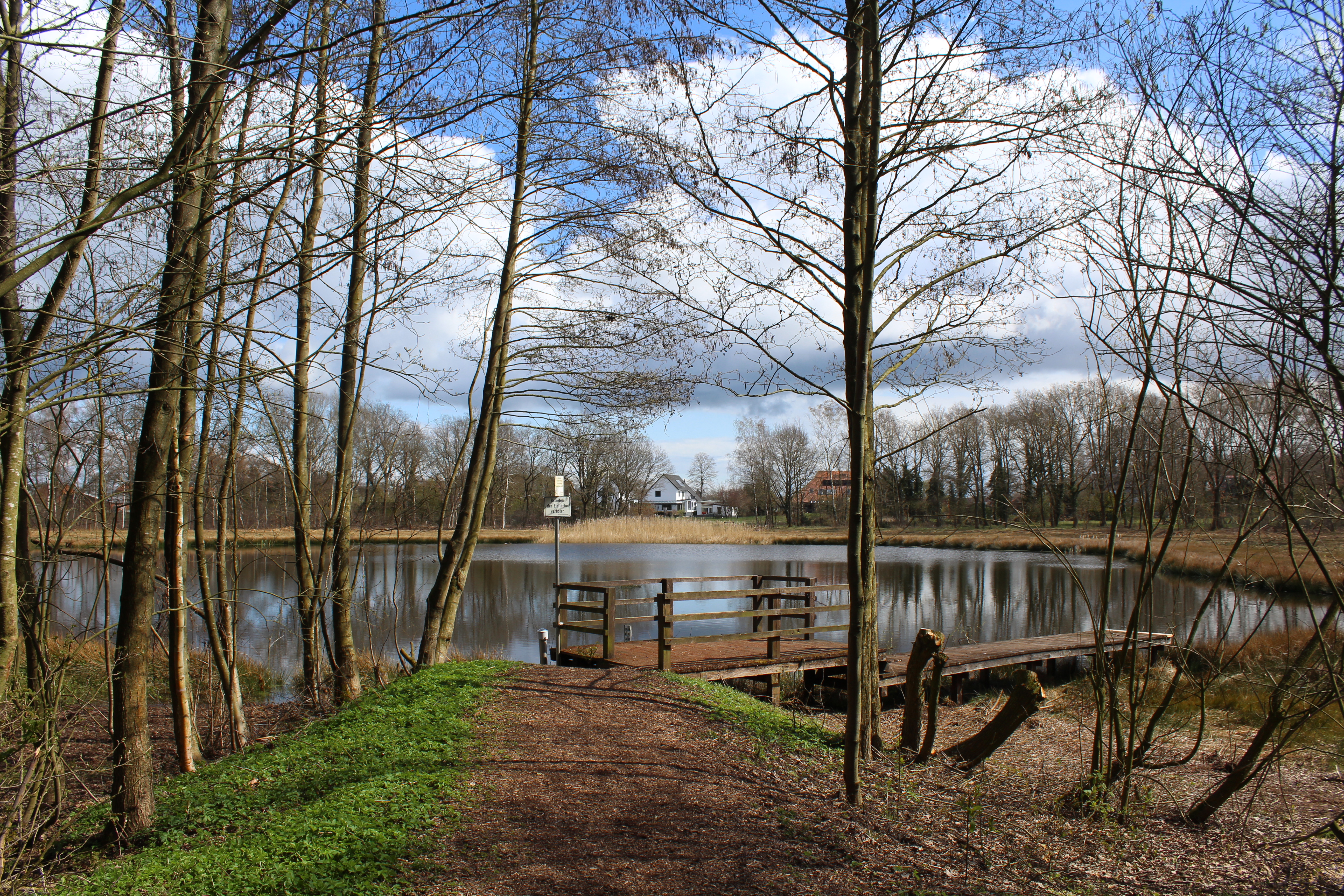 Böttchers Moor