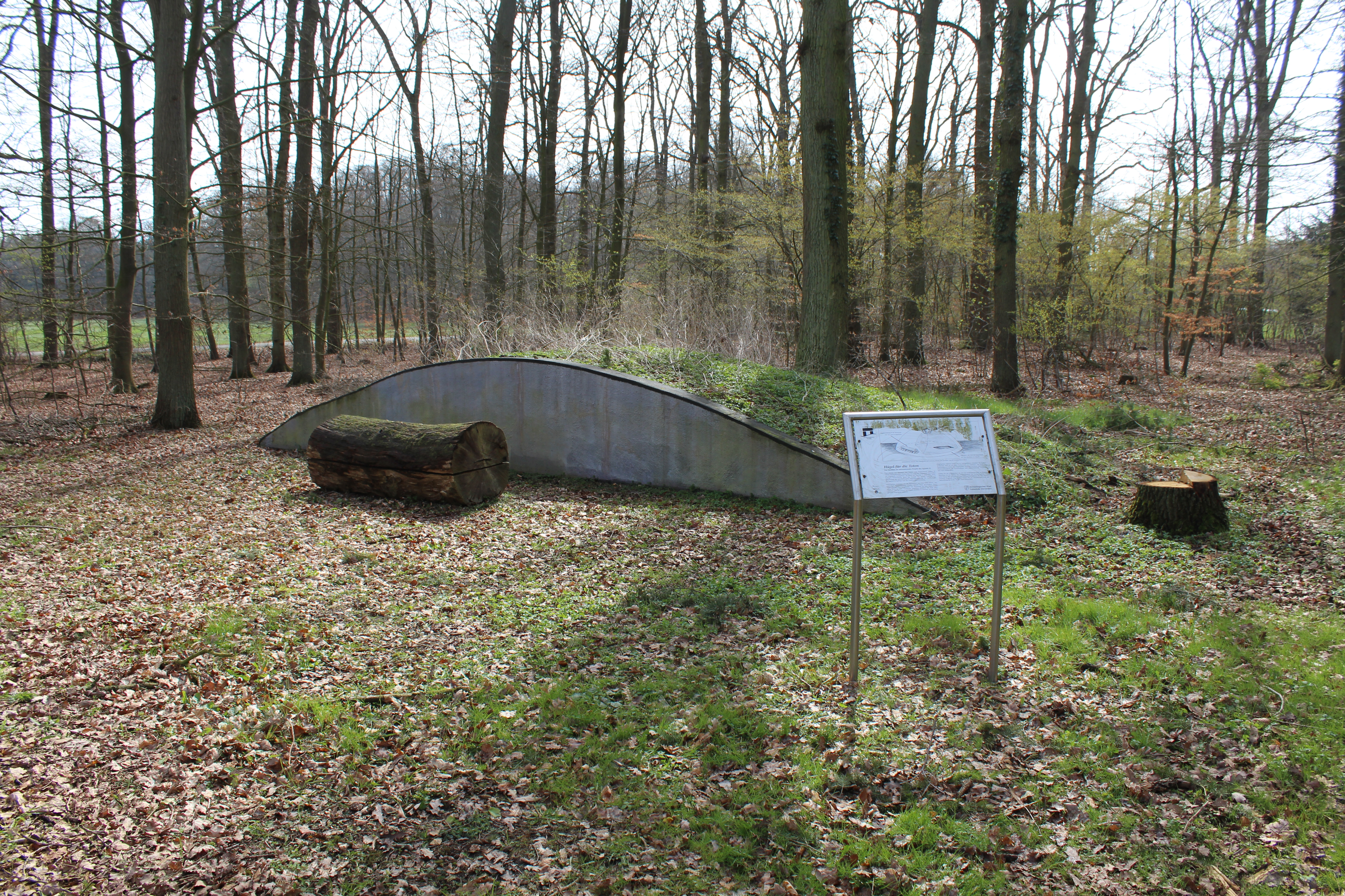 Grabhügelfeld Diensthop