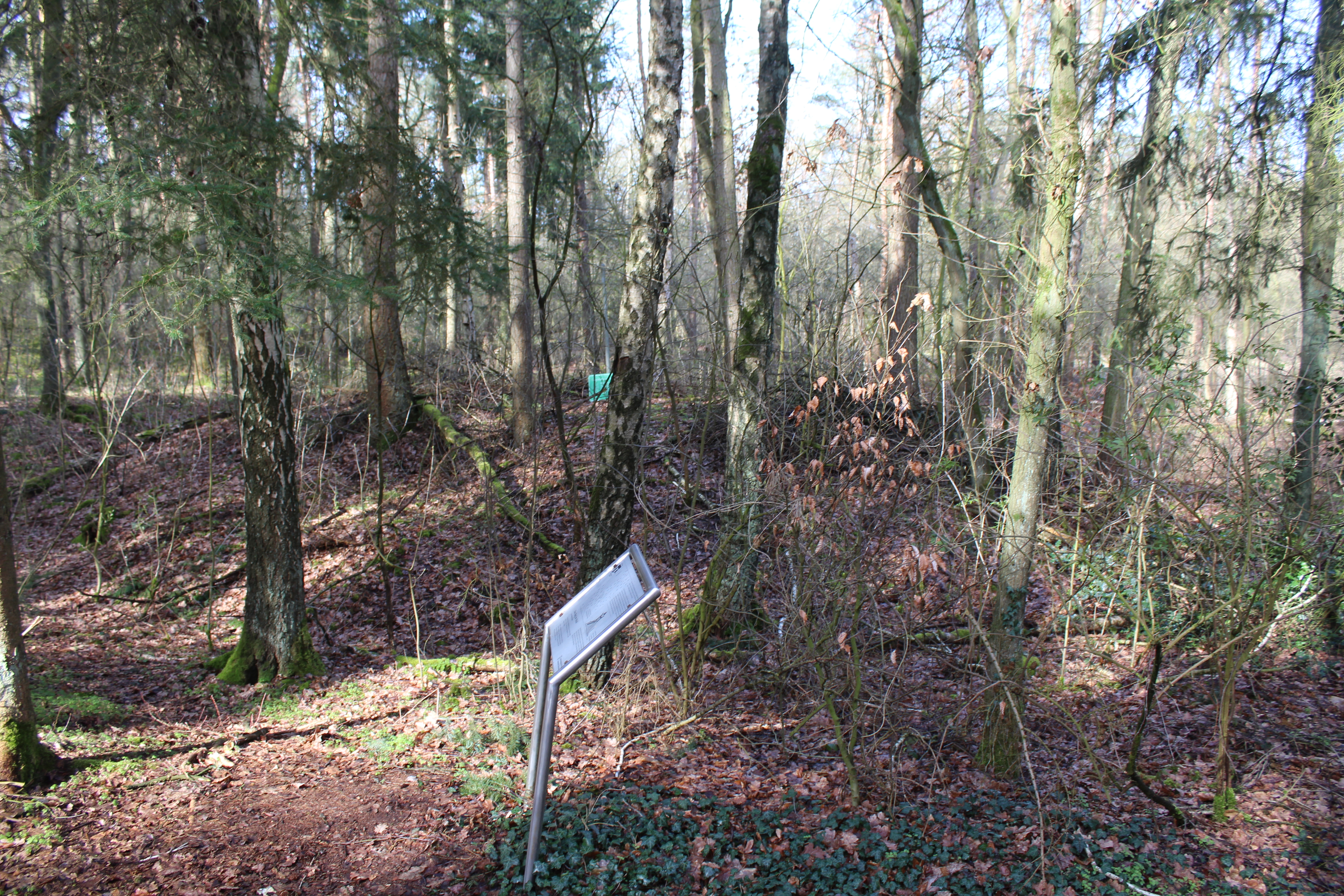 Mittelalterliche Motte Barme