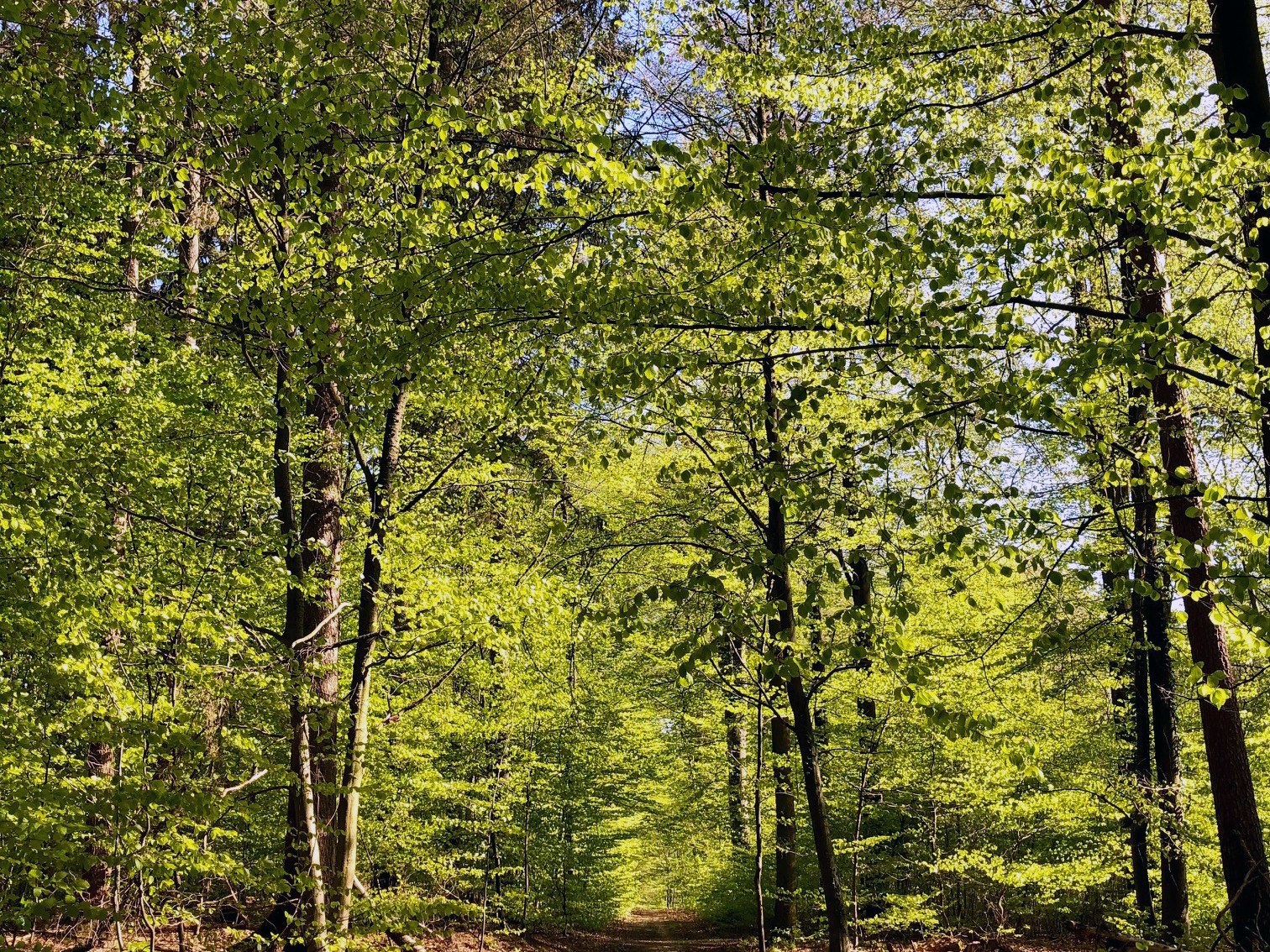 Nordic Walking Tour 2