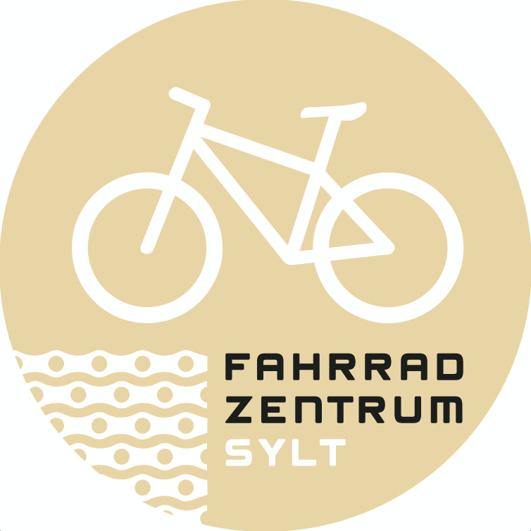 gazelle vuelta rennrad – Der ReCyclist Ludwig Meris Enzo X Modular Farbe auswählen:Silber