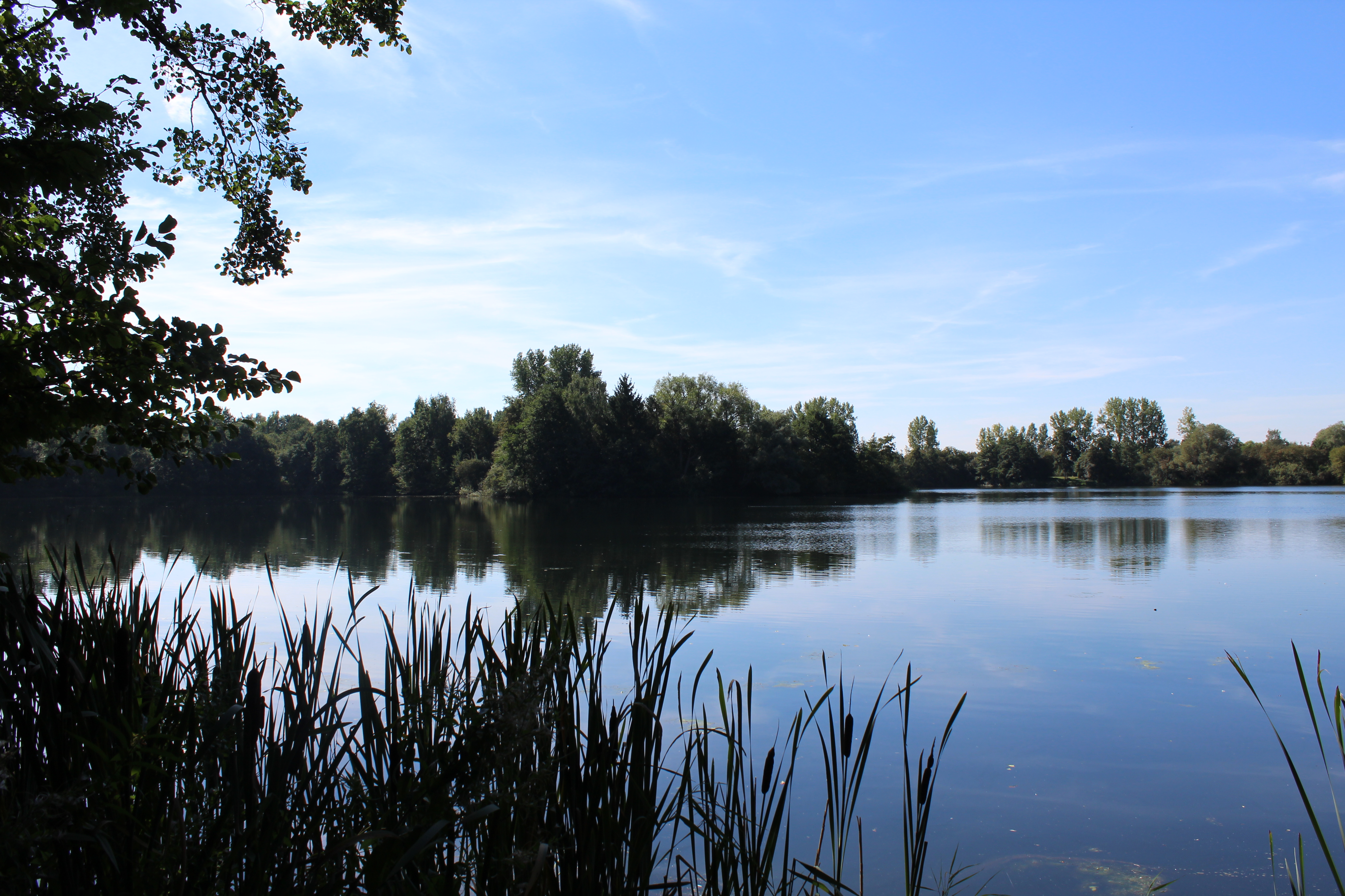 Teichgebiet Haaken Werder und Goseteich