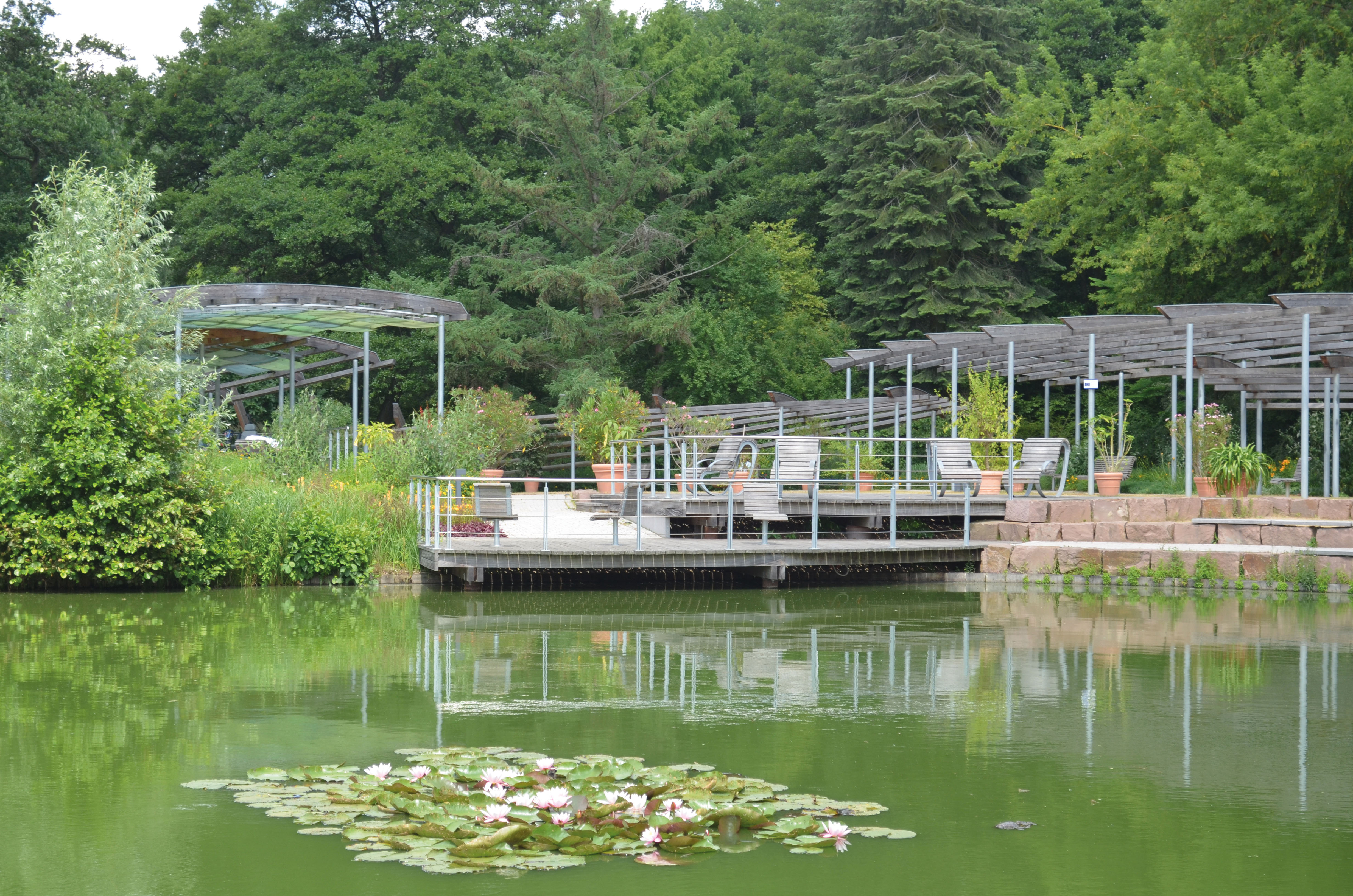Pergola am See im Kurpark Bad Bevensen