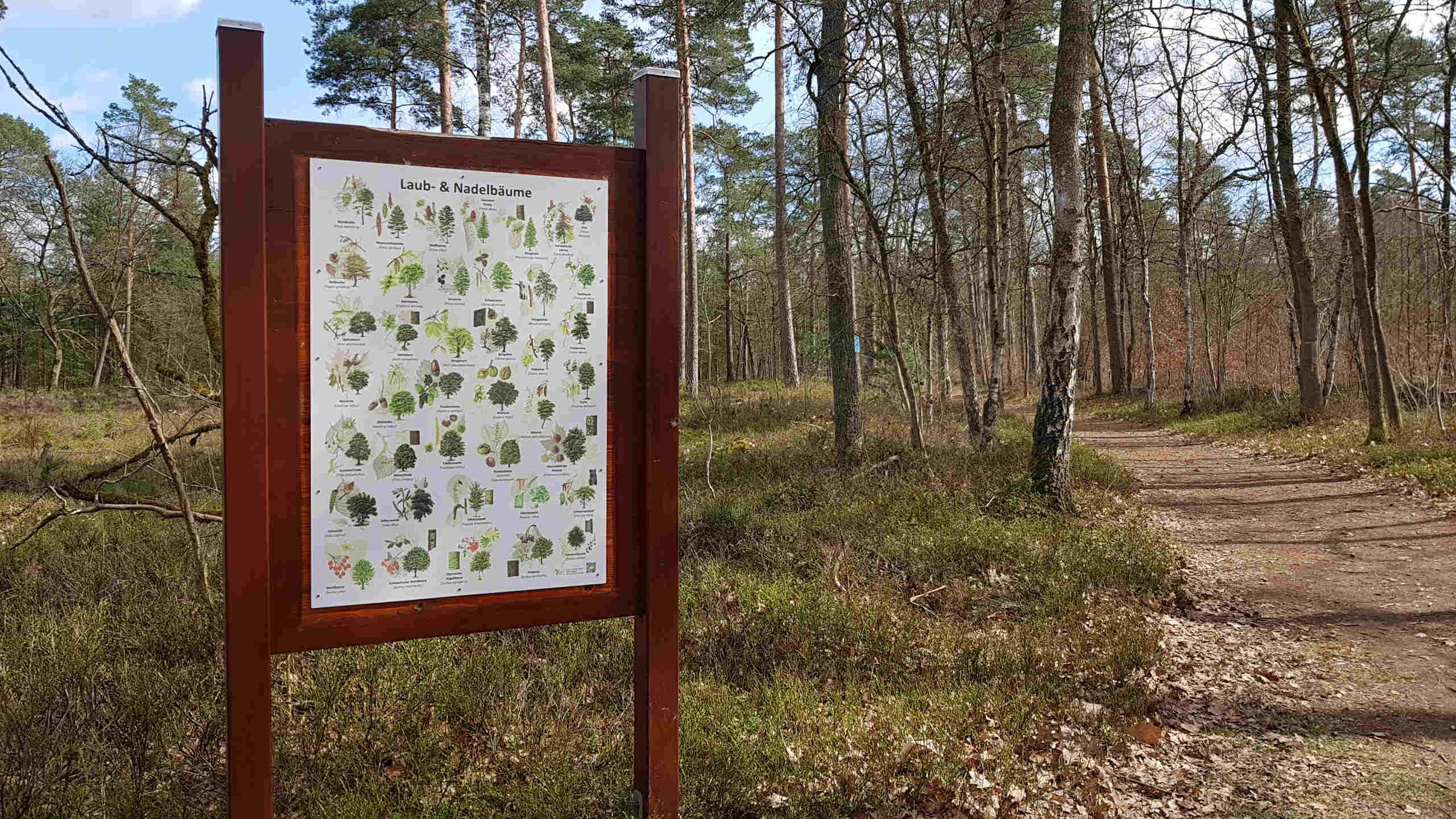 Eine Infotafel auf dem Waldlehrpfad in Ovelgönne