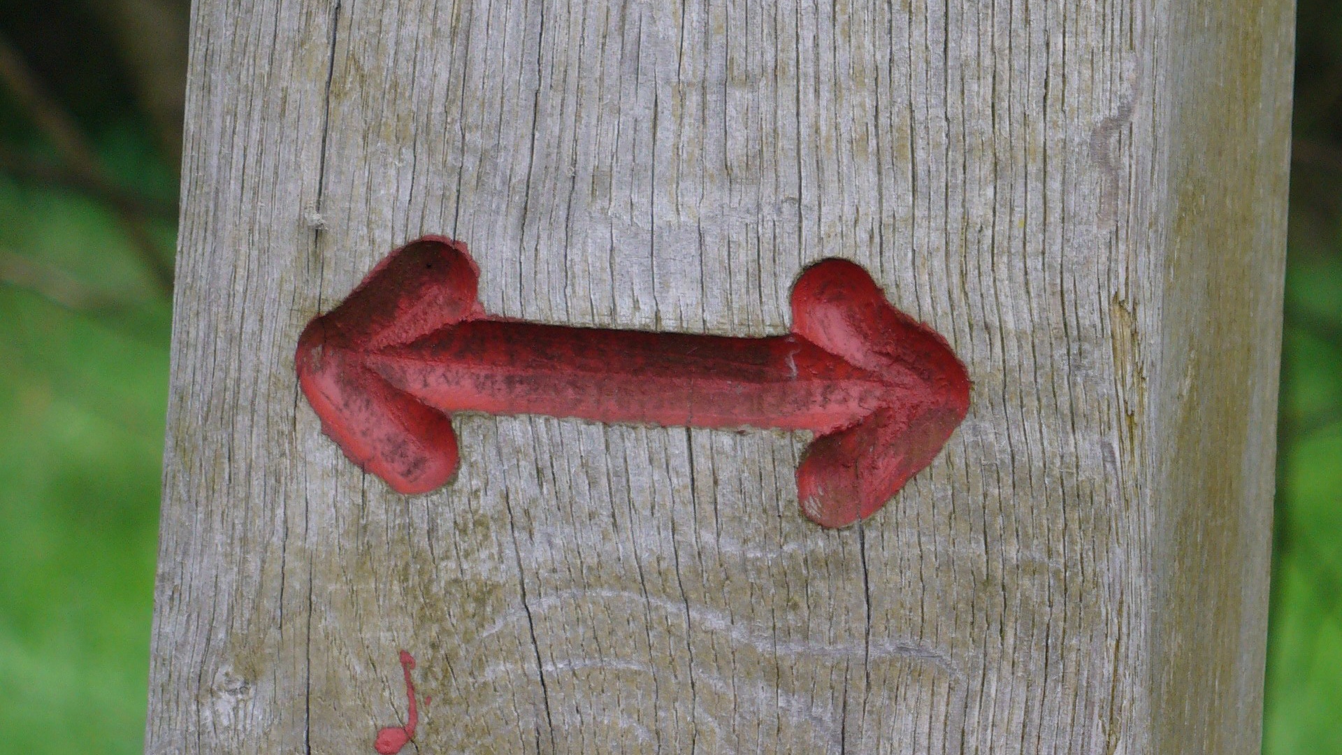 Großes Torfmoor - Markierung - roter Pfeil