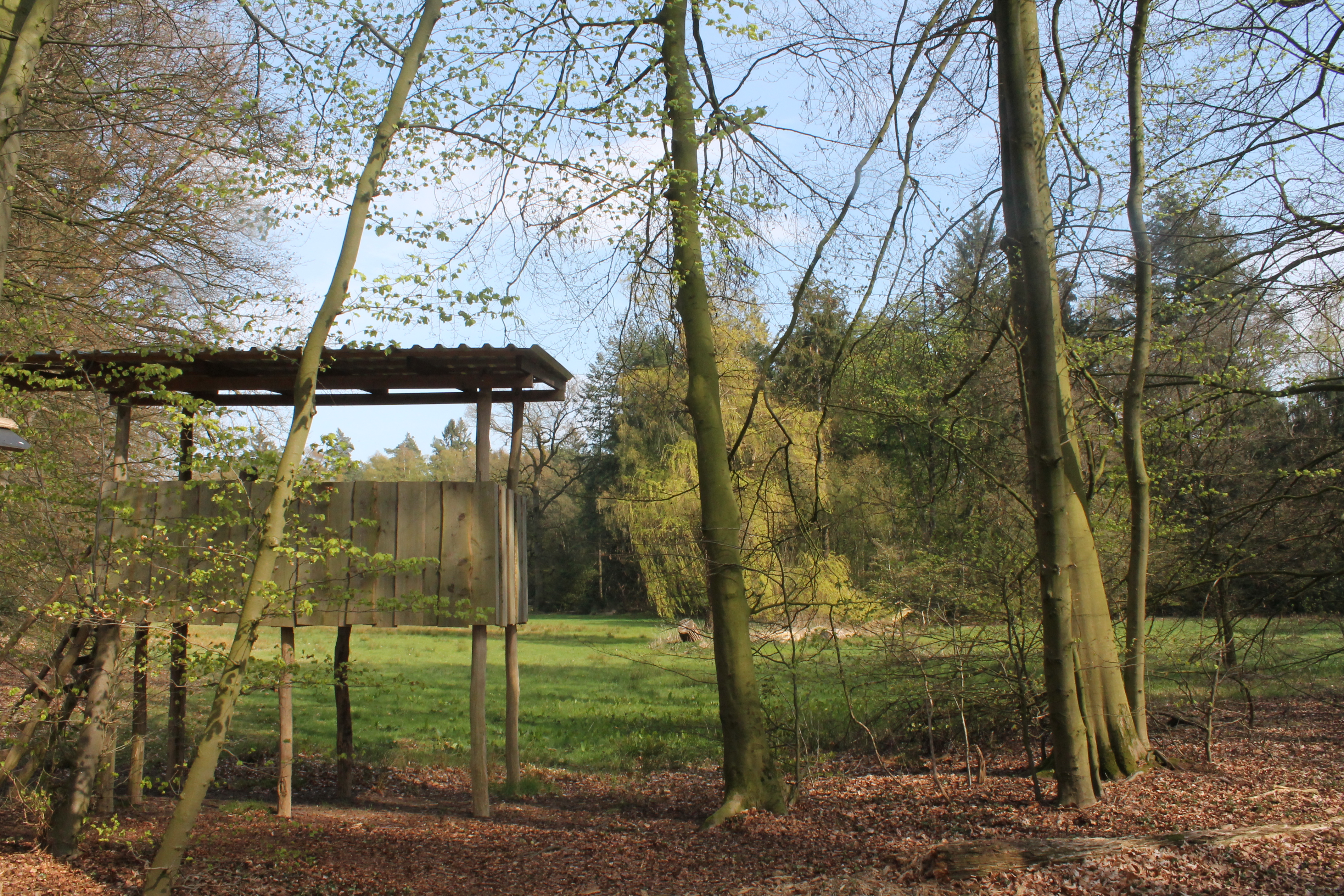 Forstlehrpfad Baccumer Wald